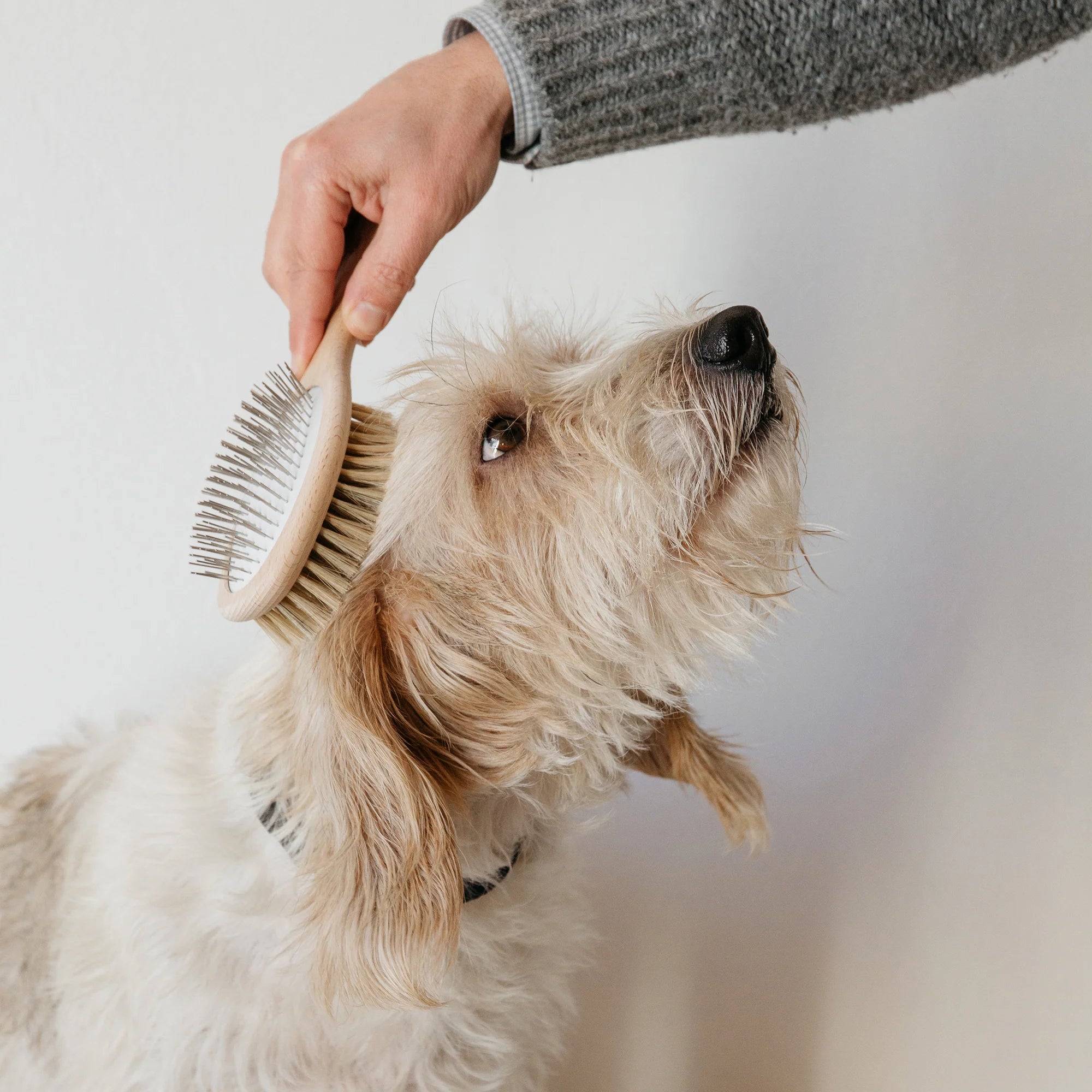 Double Sided Pet Brush