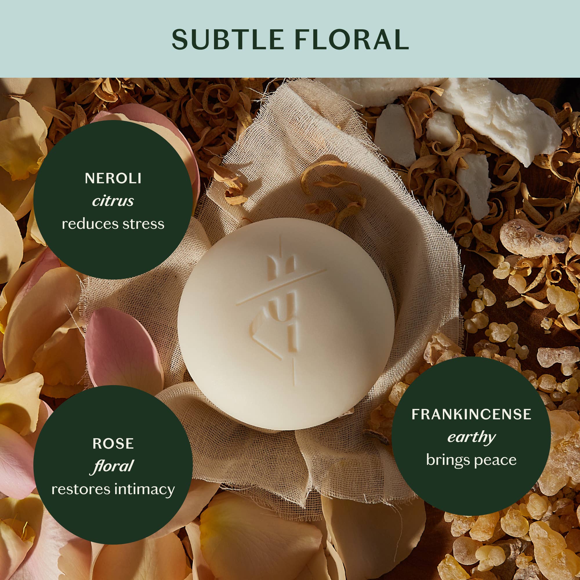 Daily Stone | Deep Moisturizing Lotion Bar Starter Kit