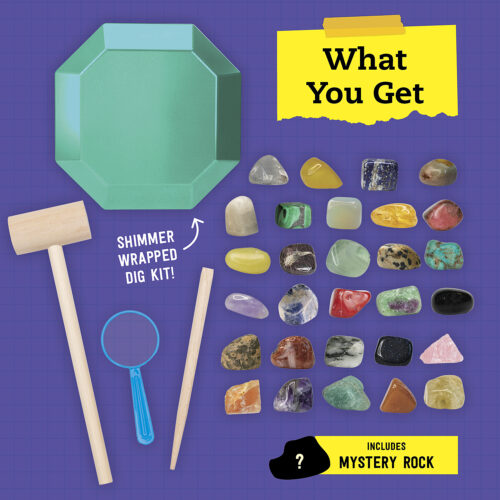 Steam Lab Ultimate Gemstone and Dig Kit