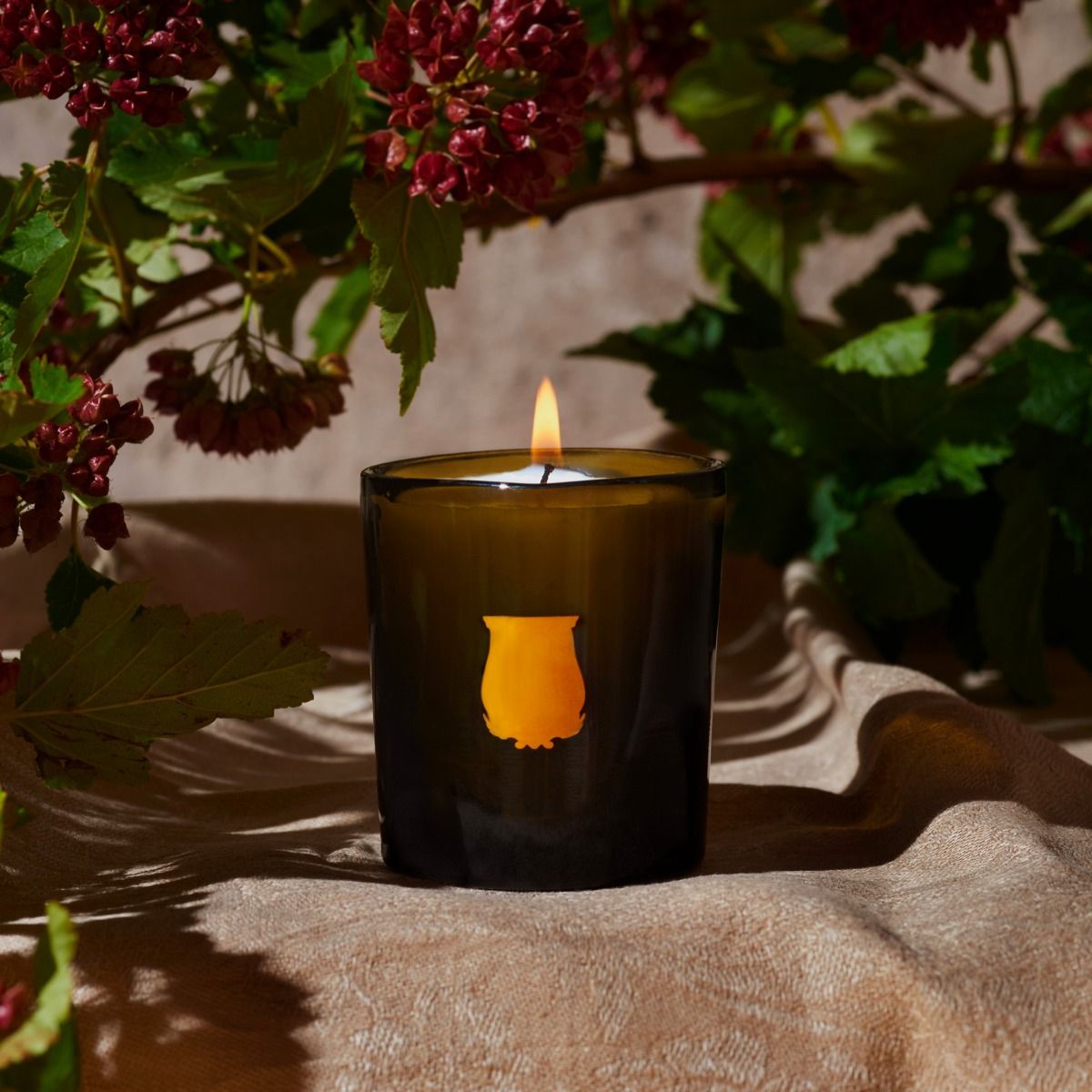 Le Petite Bougie Candle - Ernesto