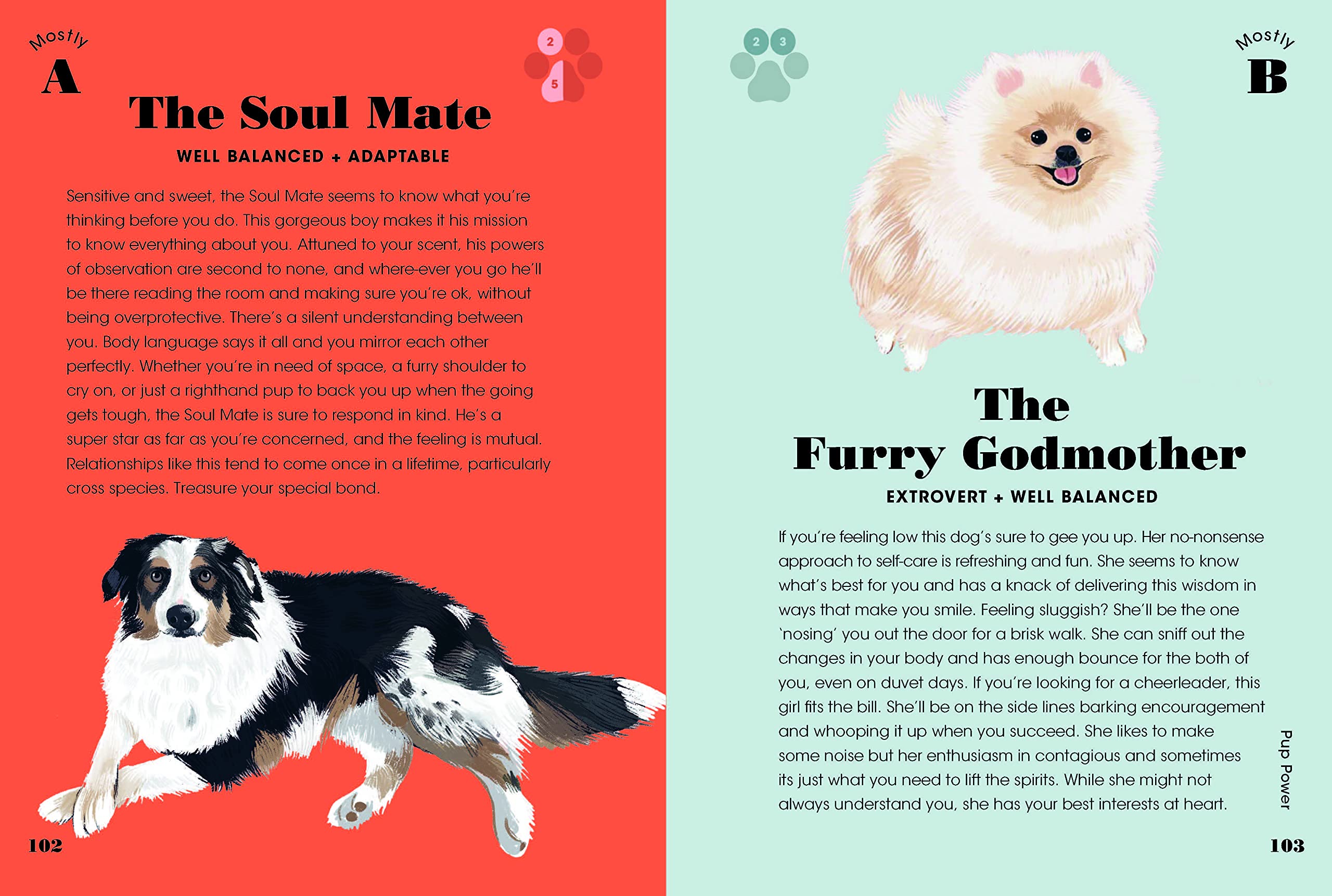 The Dog Pawsinality Test
