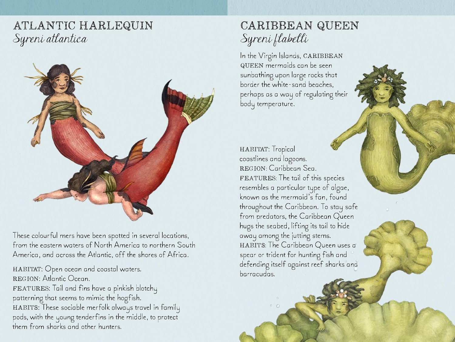 Match the Mermaids a Memory Game