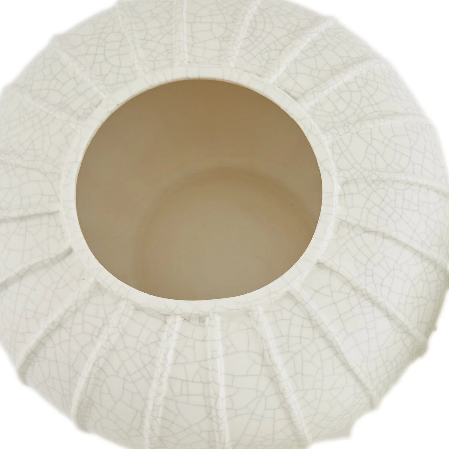 Pompano Vases - Set of 3
