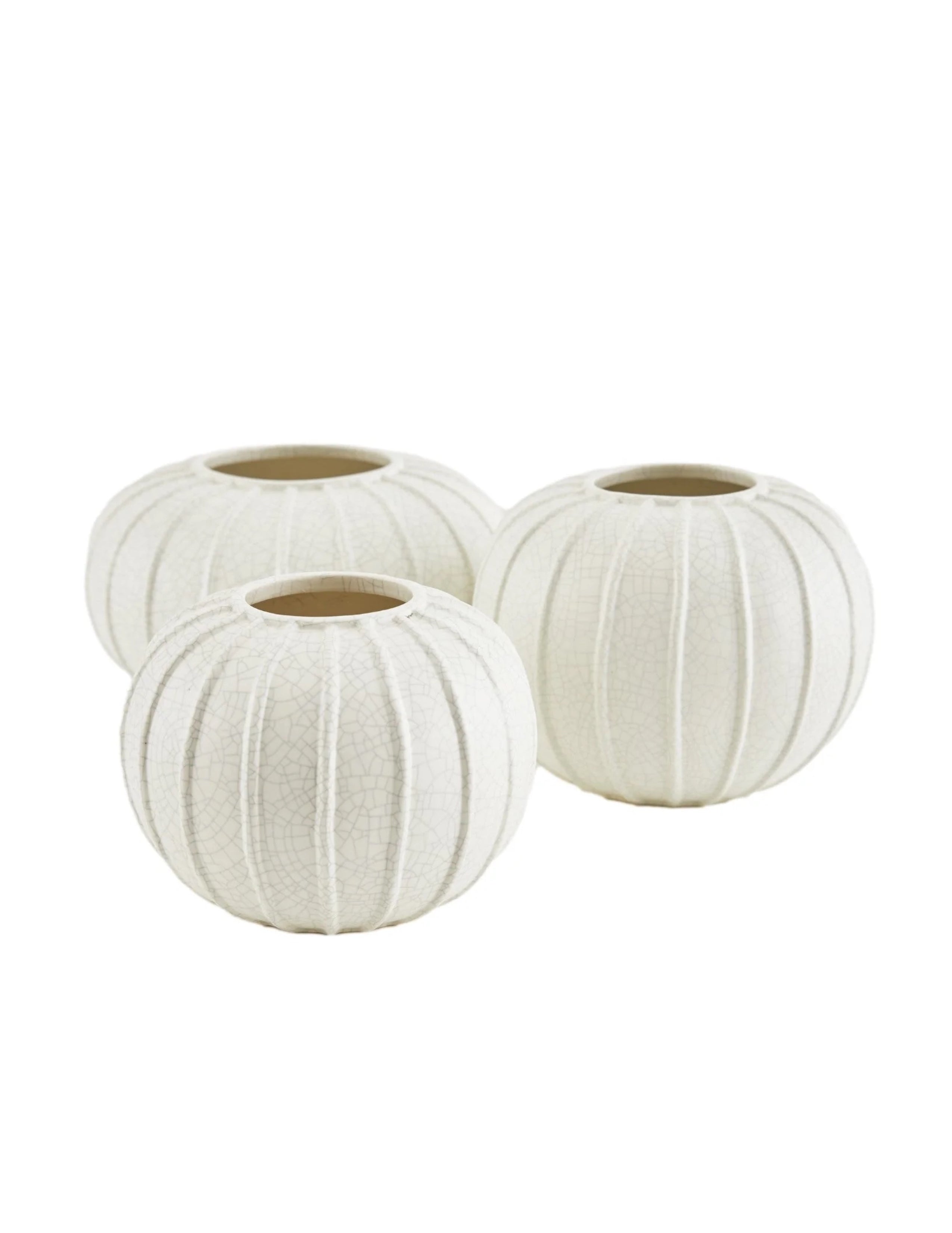 Pompano Vases - Set of 3