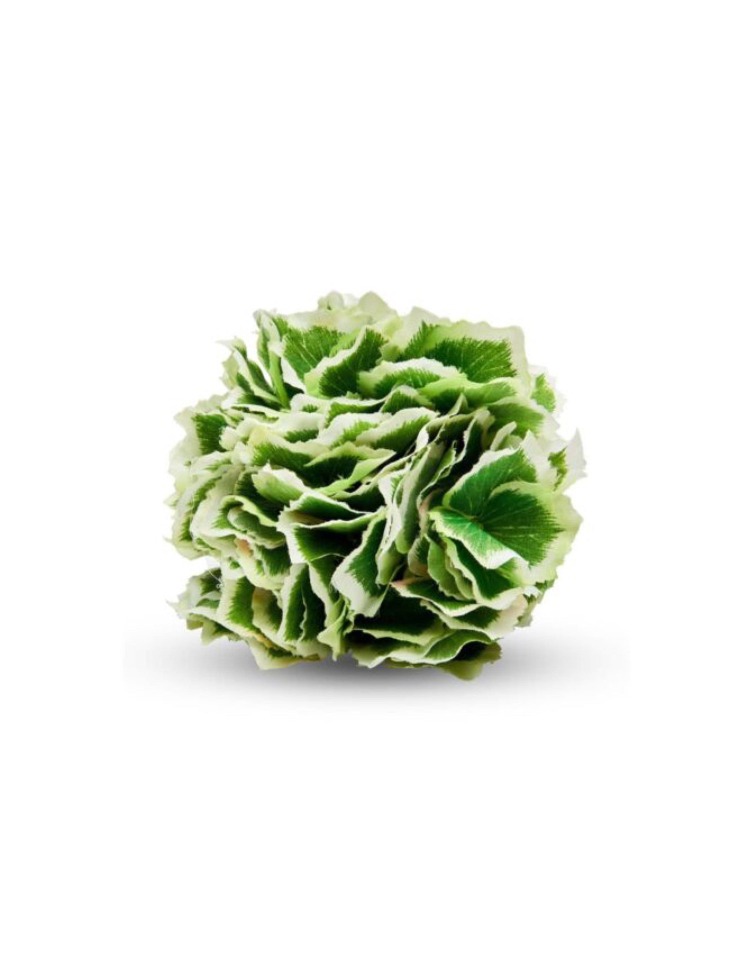 Hydrangea Napkin ring - Set of 4