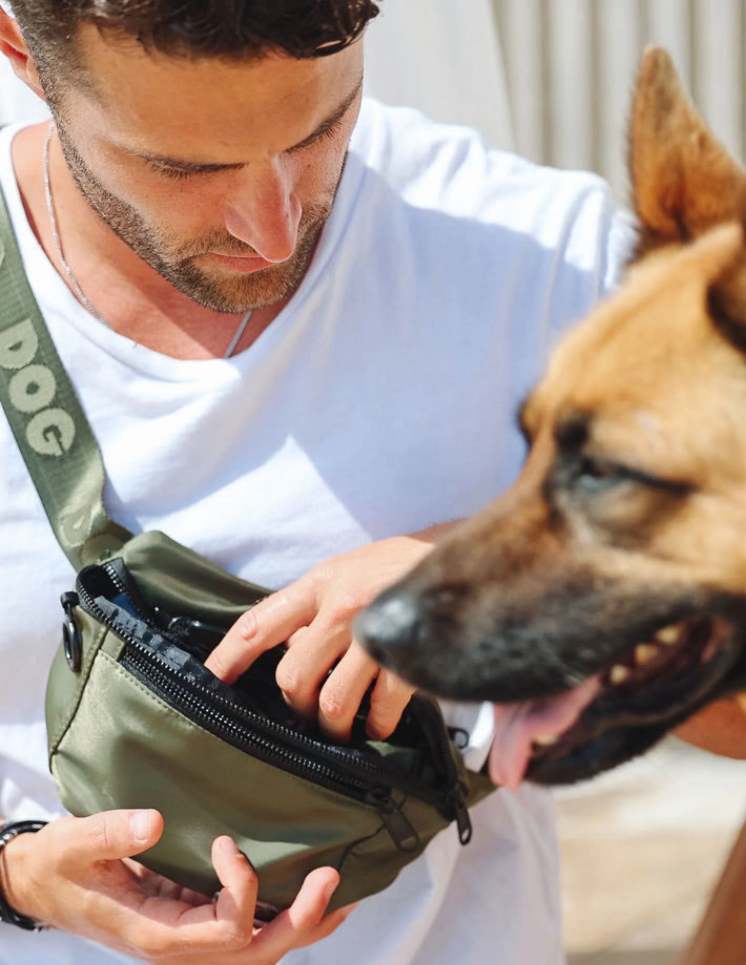 DOG Belt Bag - Olive