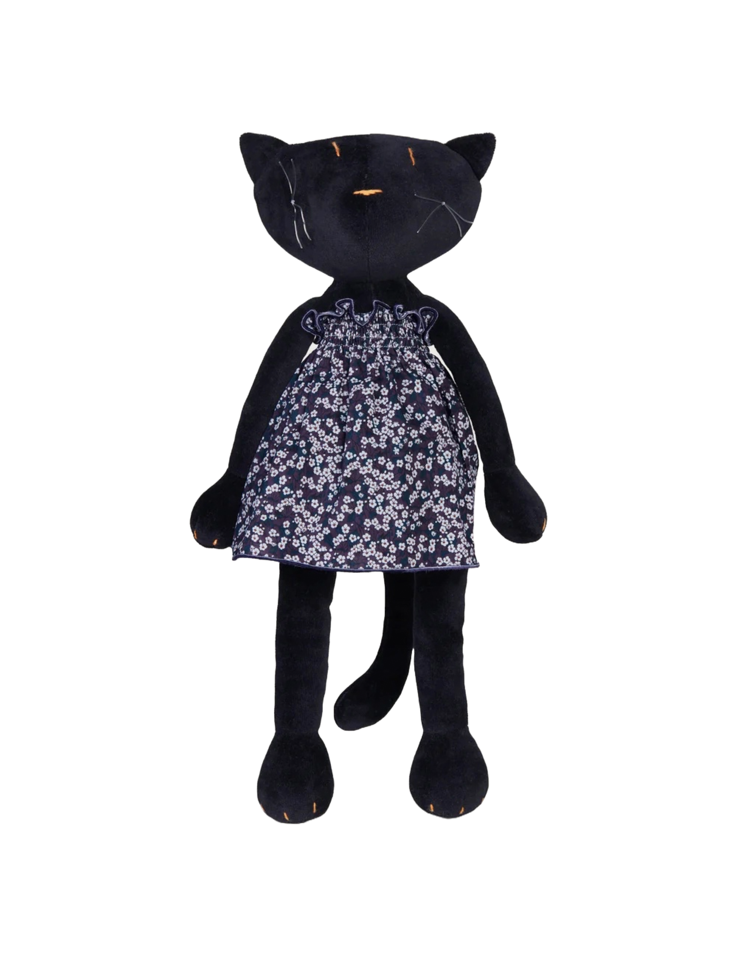 Gisel the Cat