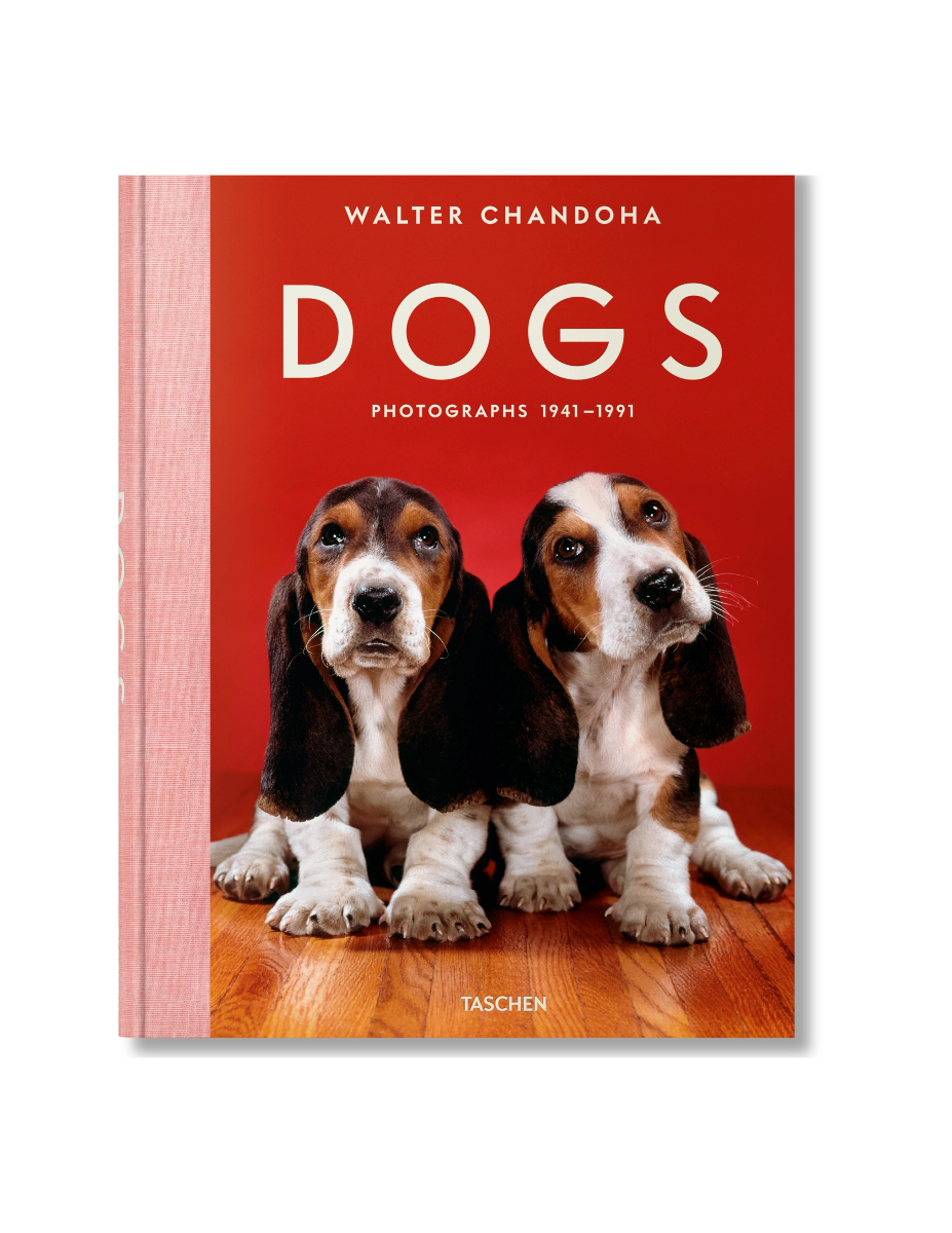 Dogs. Photographs 1941-1991