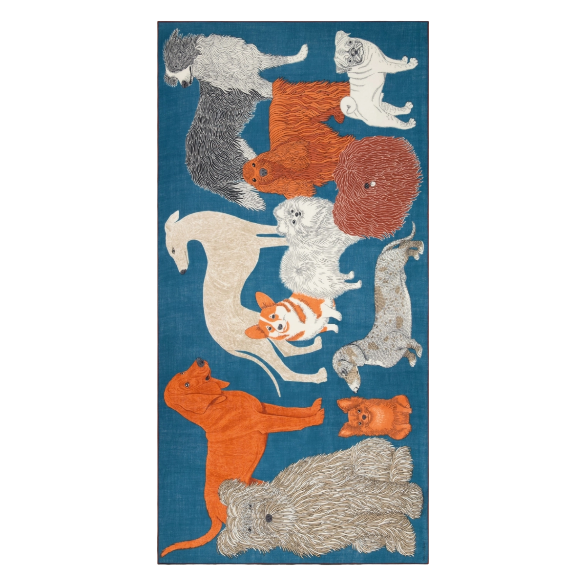 Scarf 100 Toutou - Duck Blue