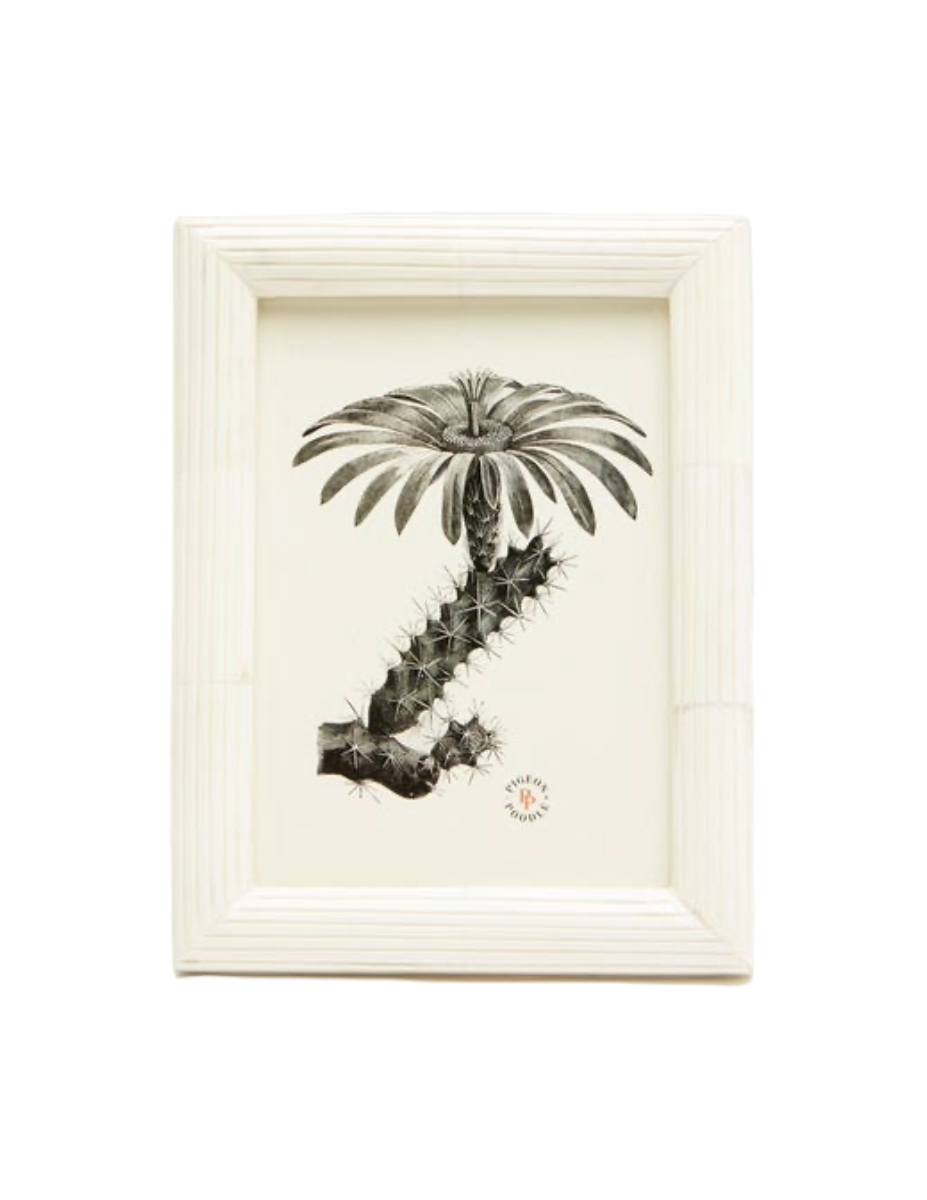 Velden Frame - Bone