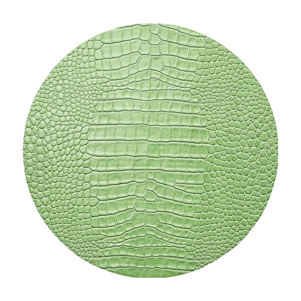 Croco Placemat Set/4 - Green