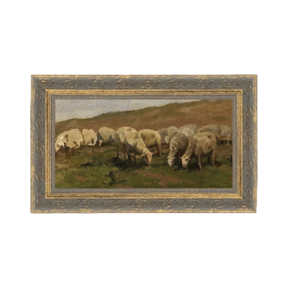 Sheep Landscape