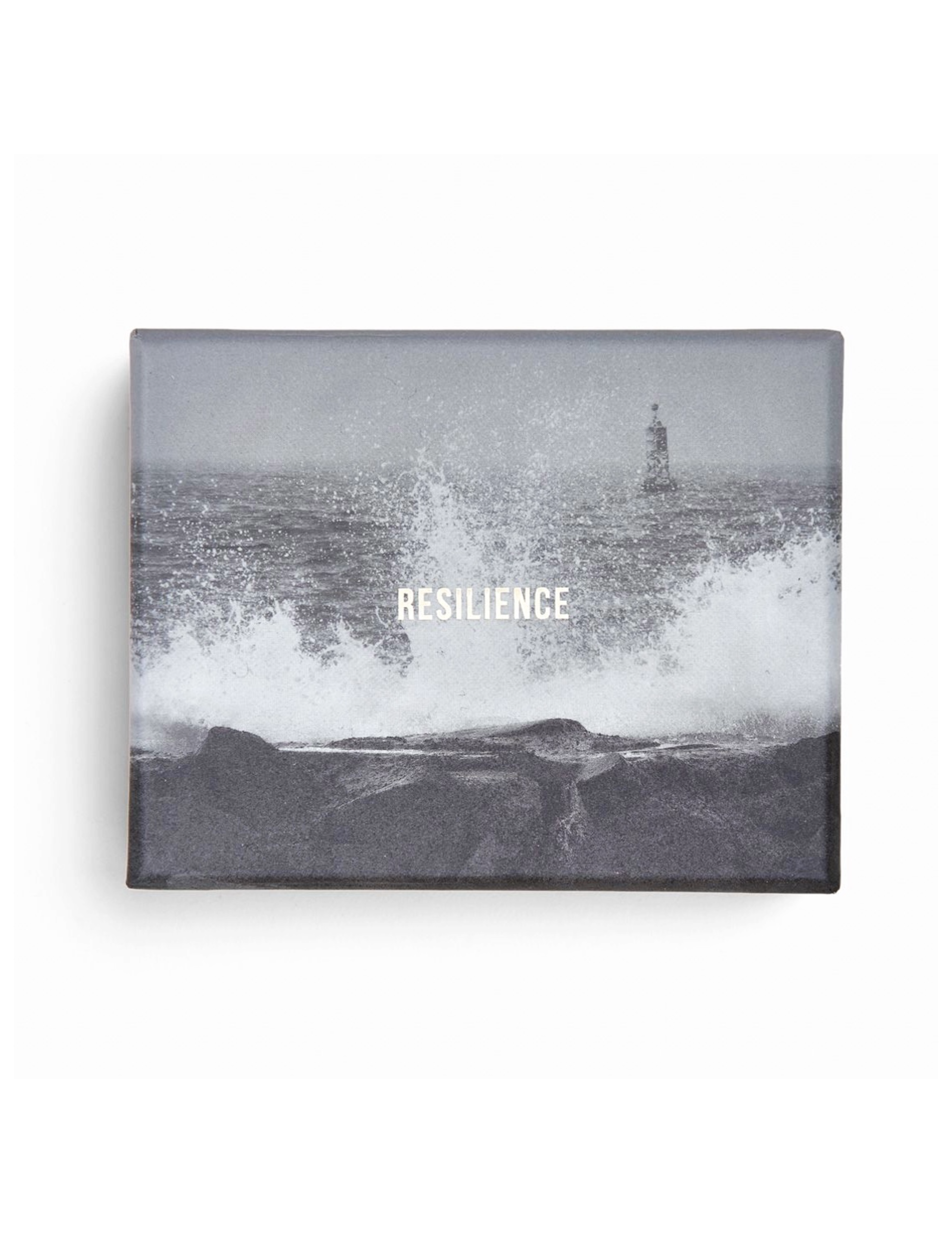 Flash Cards - Resilience