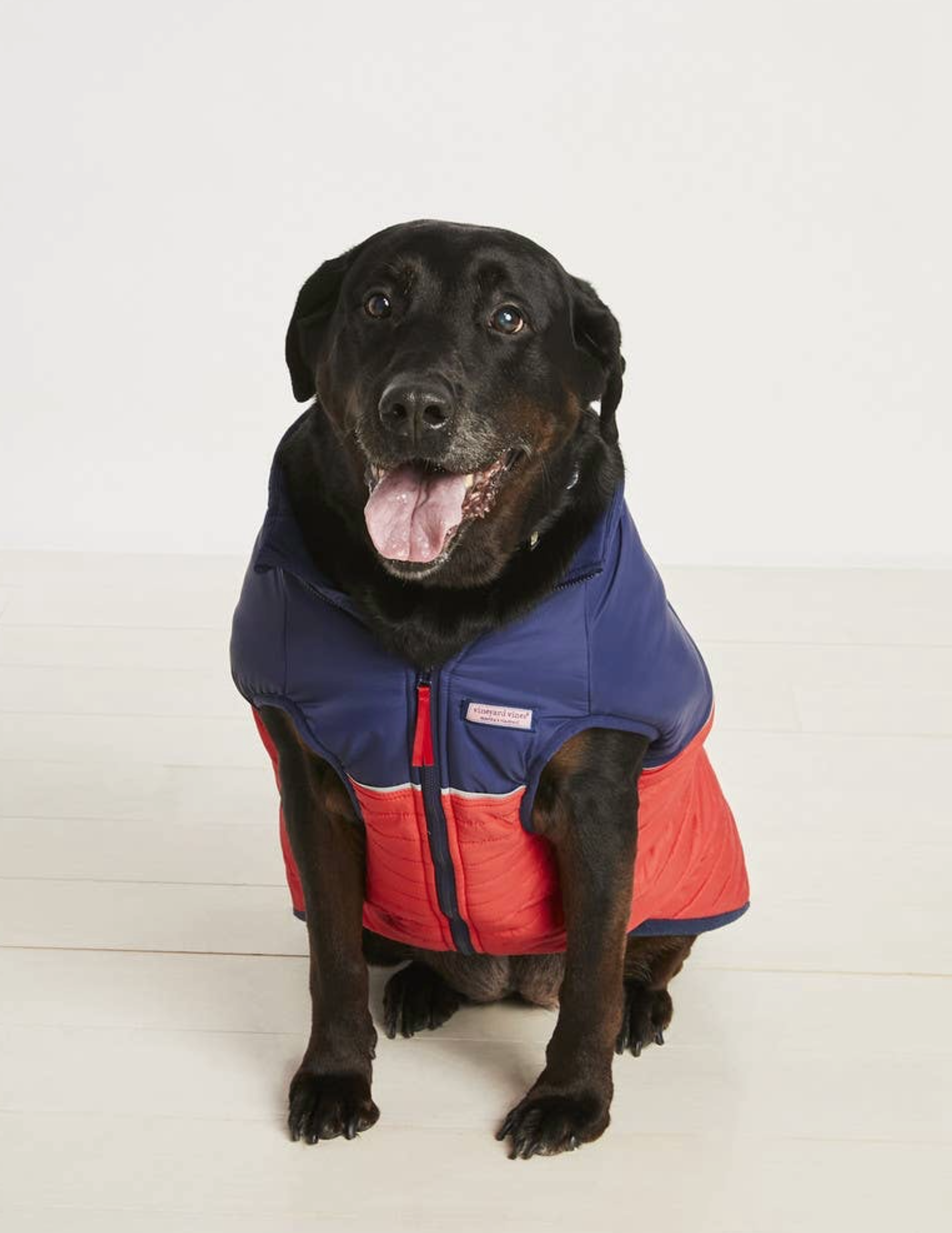 Vineyard Vines x FMA Pet Puffer Jacket - Lighthouse Red