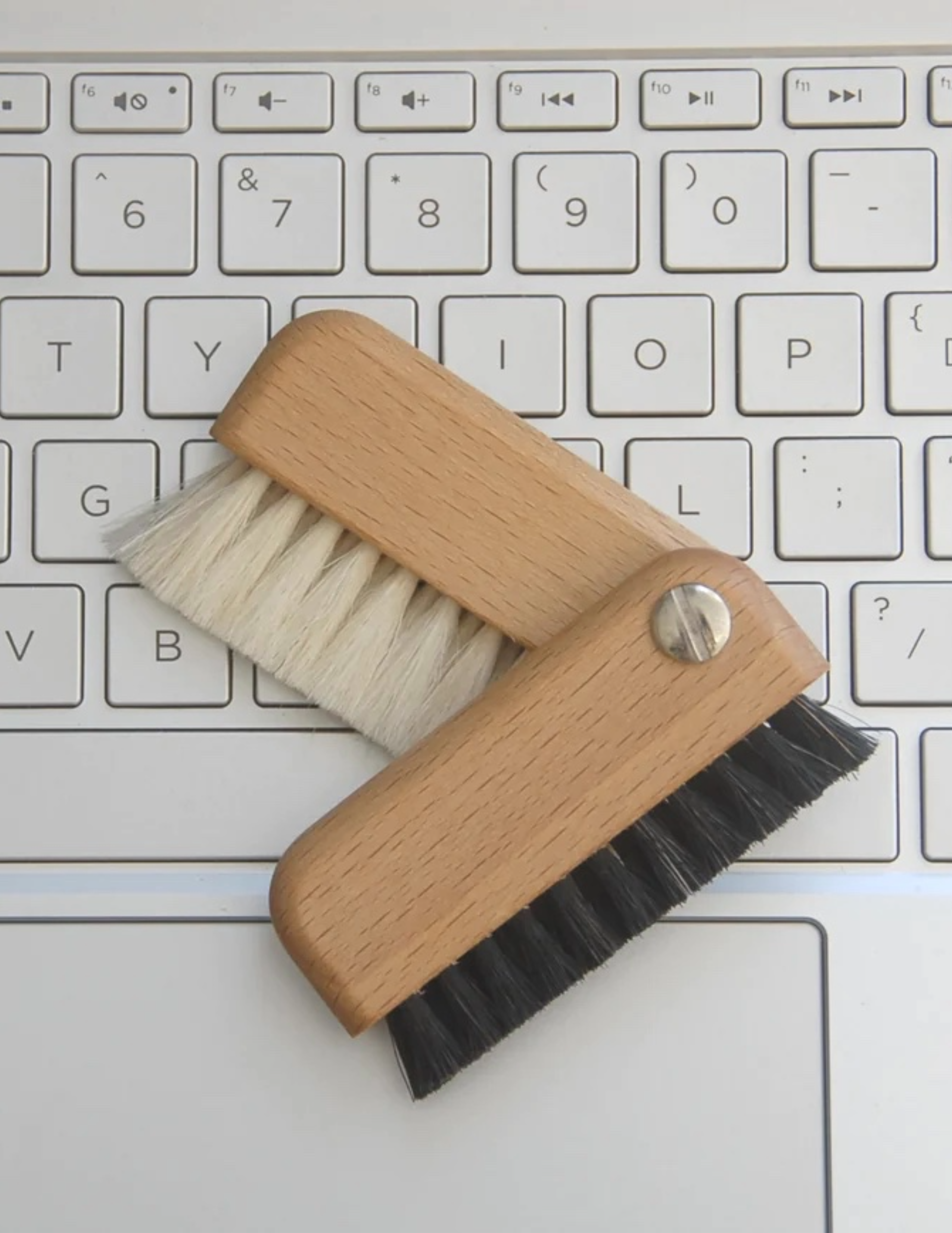 Laptop Keyboard Brush