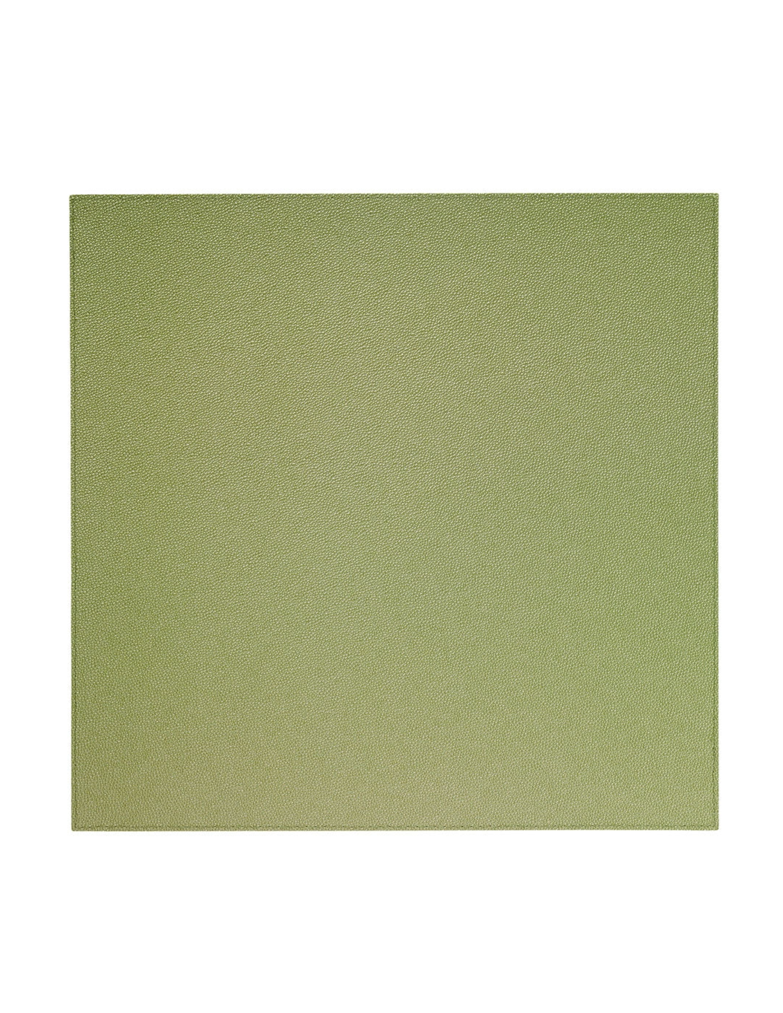 Skate Square Placemat Set/4 - Willow