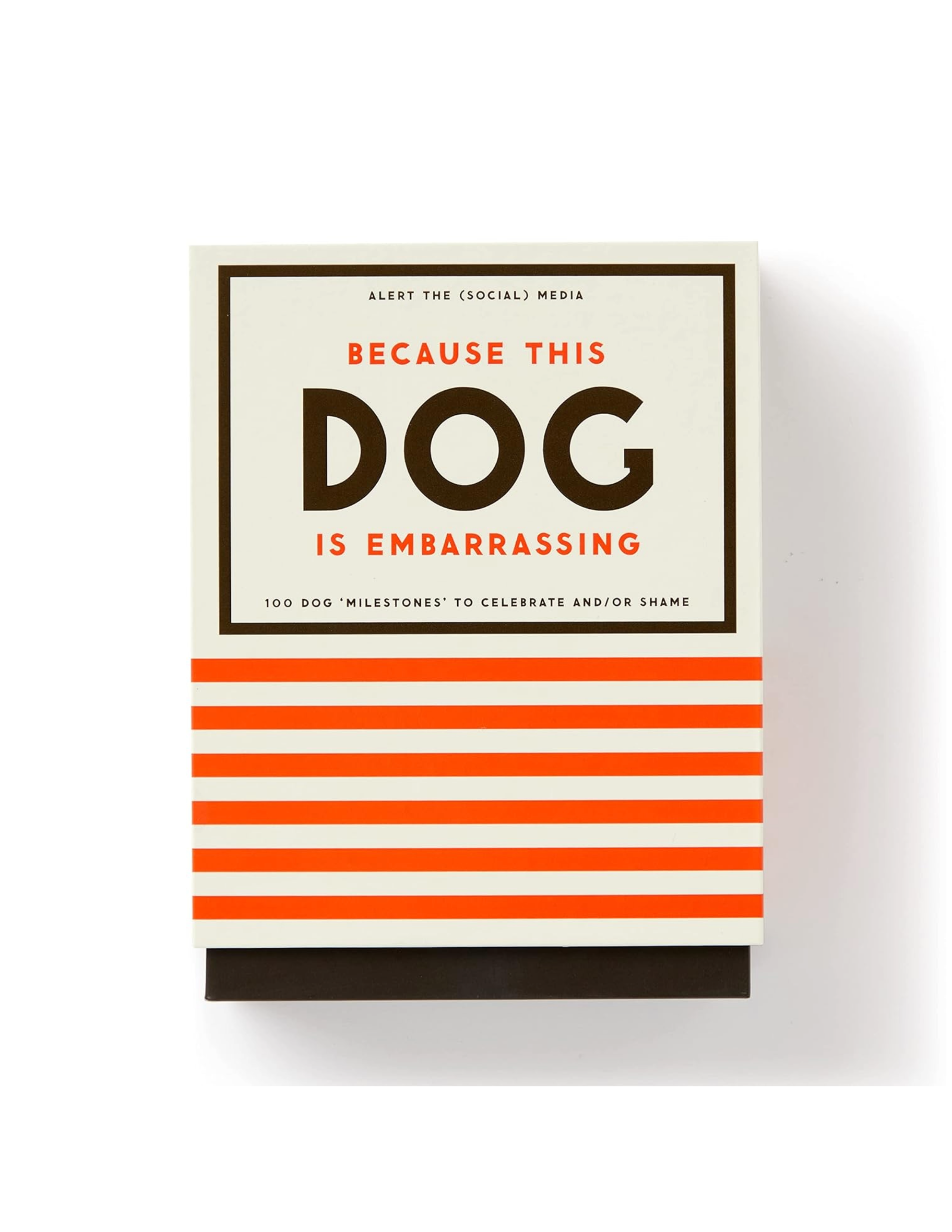 Because This Dog Is Embarrassing