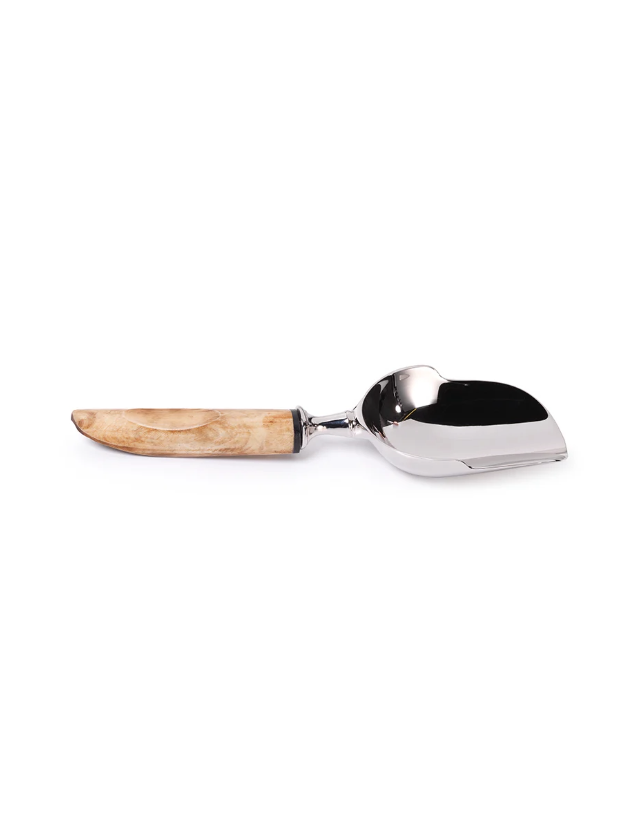 Caribbean Chic Ice Scoop