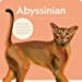 Cat Nerd: Battle of the Breeds