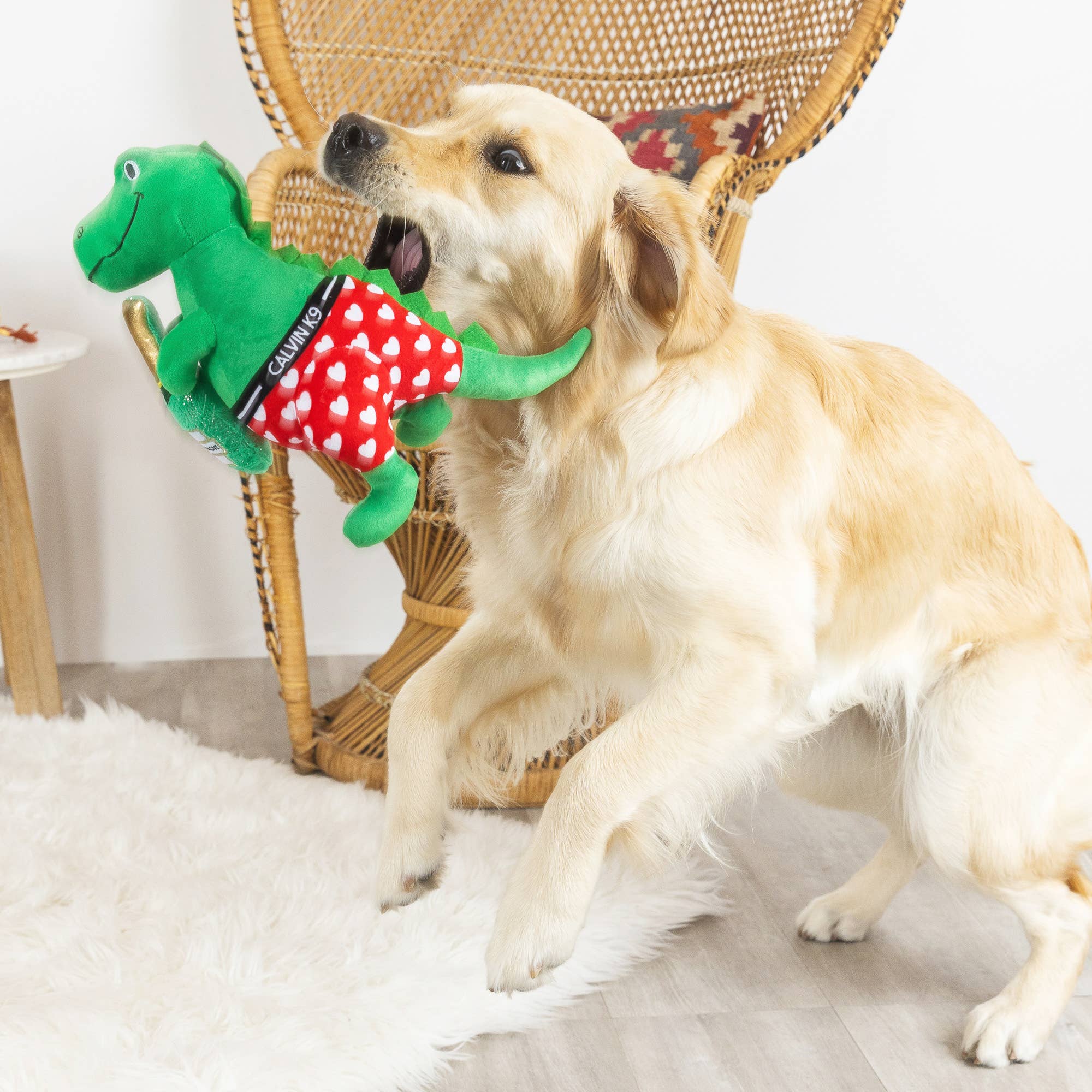 Bachelor Rex Plush Dog Toy