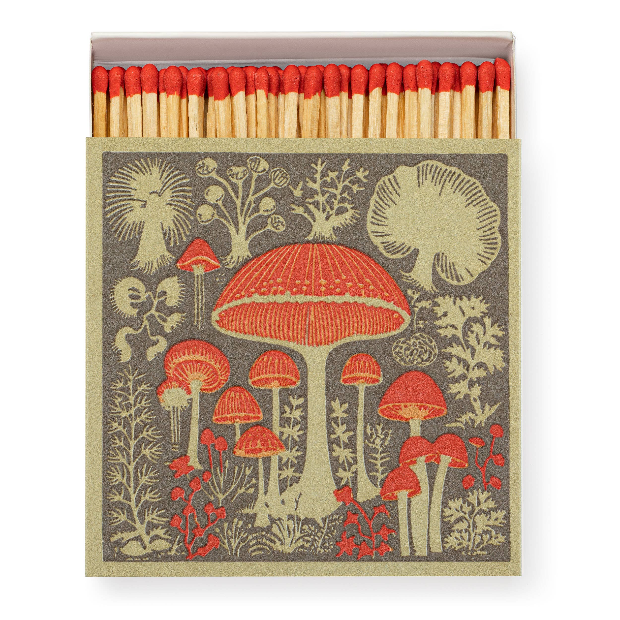 Mushrooms Square Safety Matches