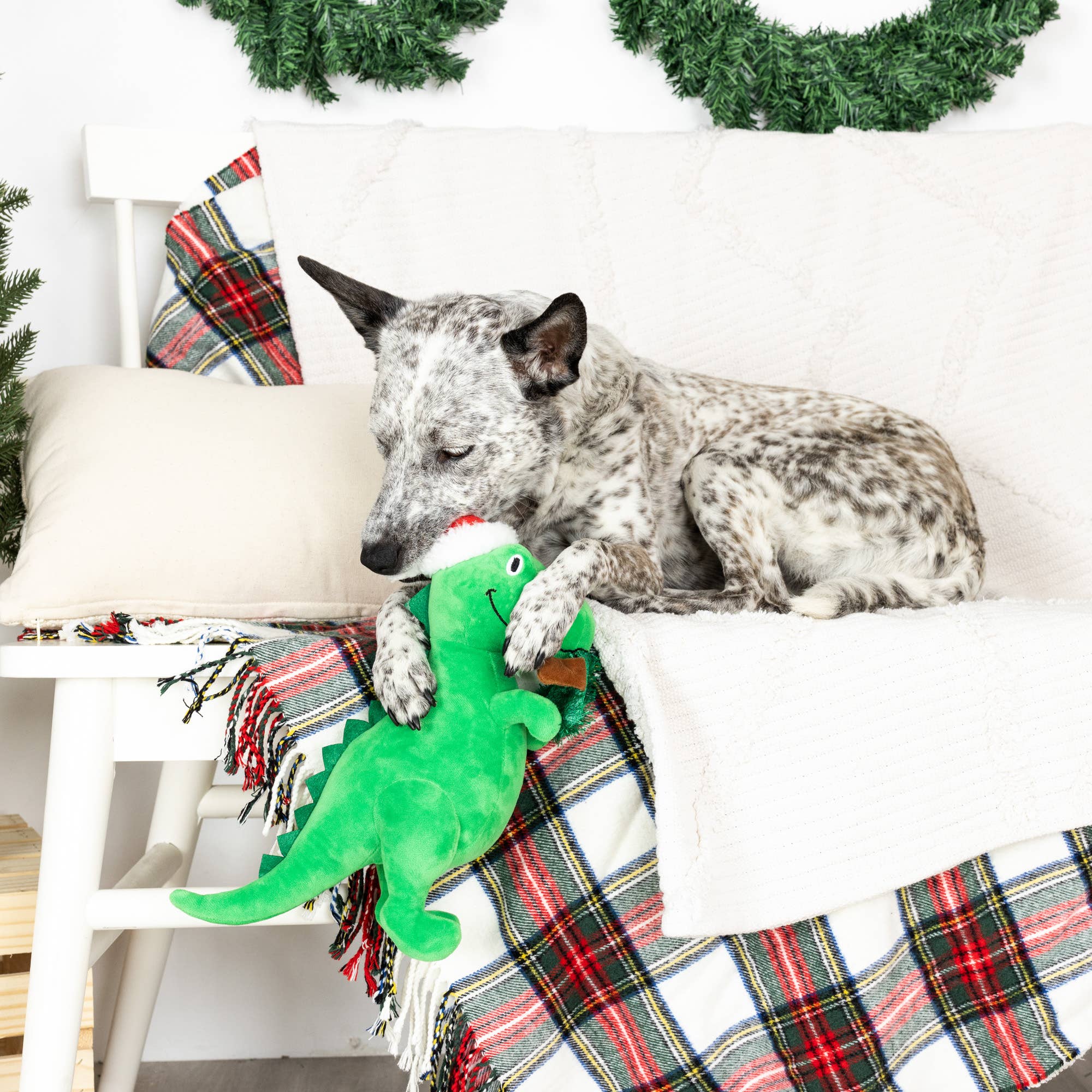 Hungry for the Holidays Plush Dog Toy