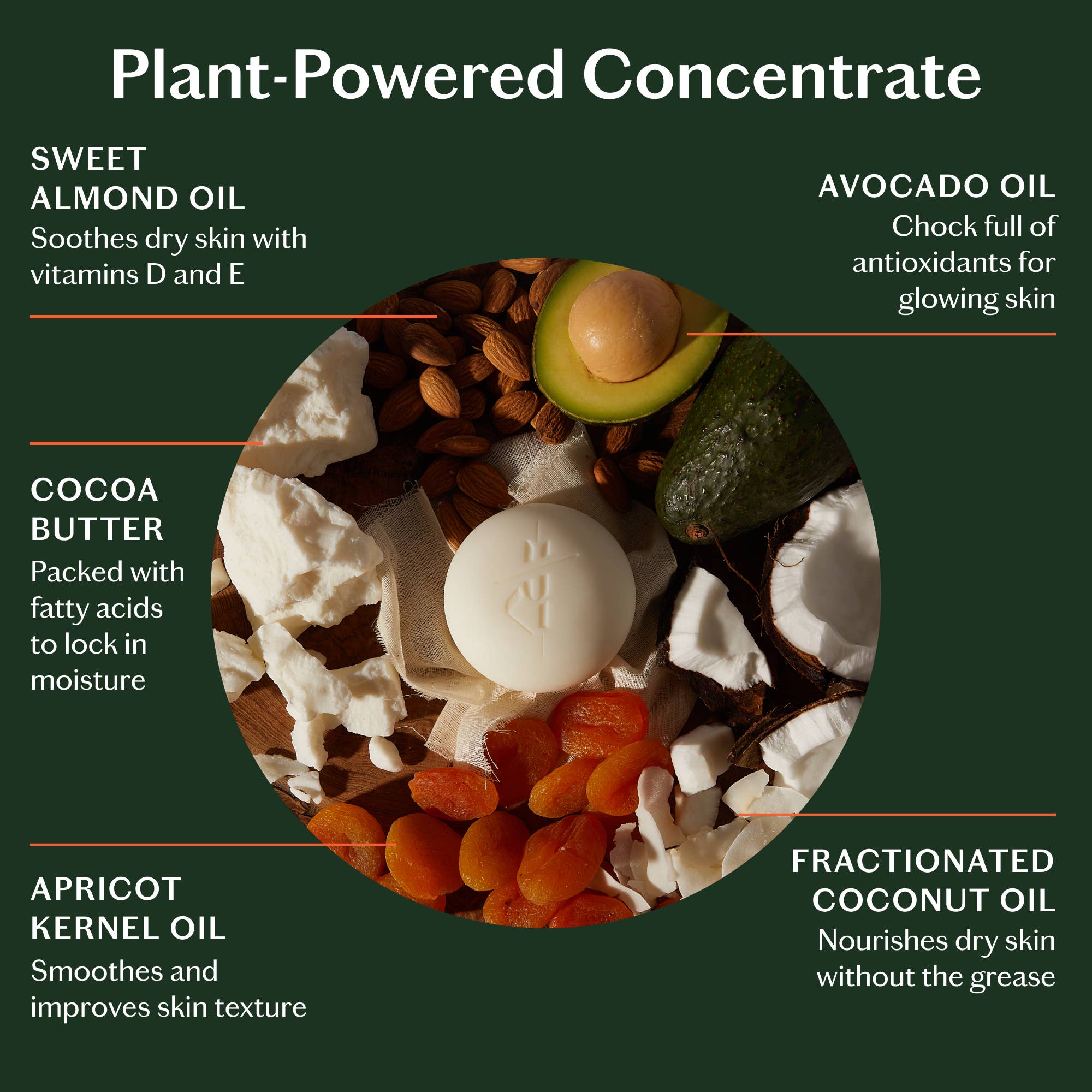 Grounding Stone | Deep Moisturizing Lotion Bar Starter Kit
