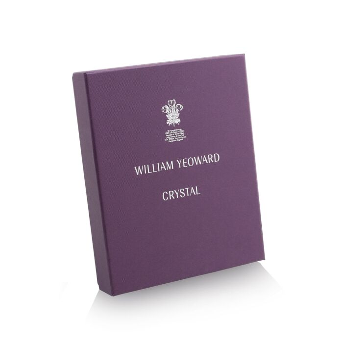 New Classic Frame - Amber