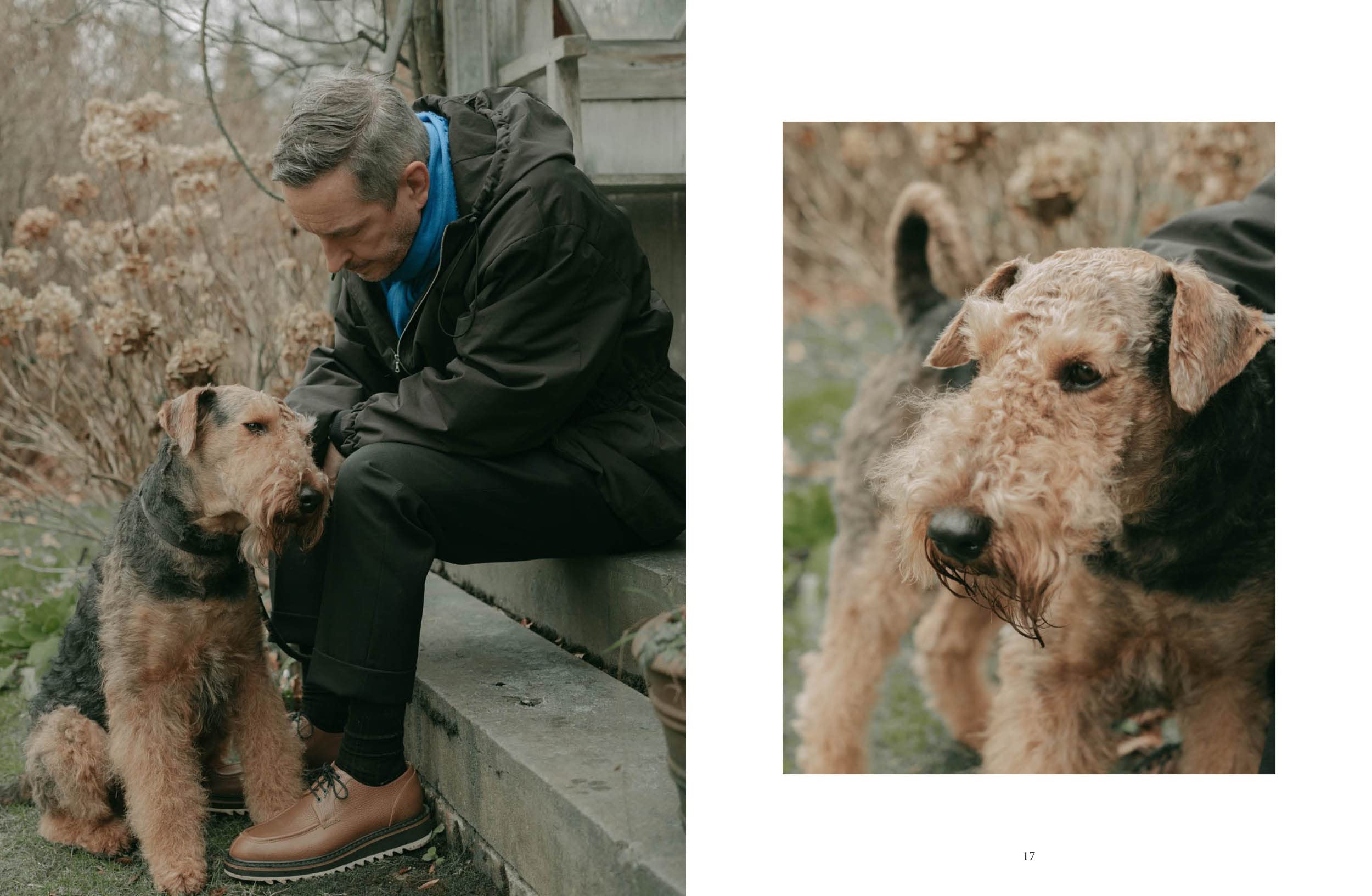 Dog - Stories of Dog Ownership
