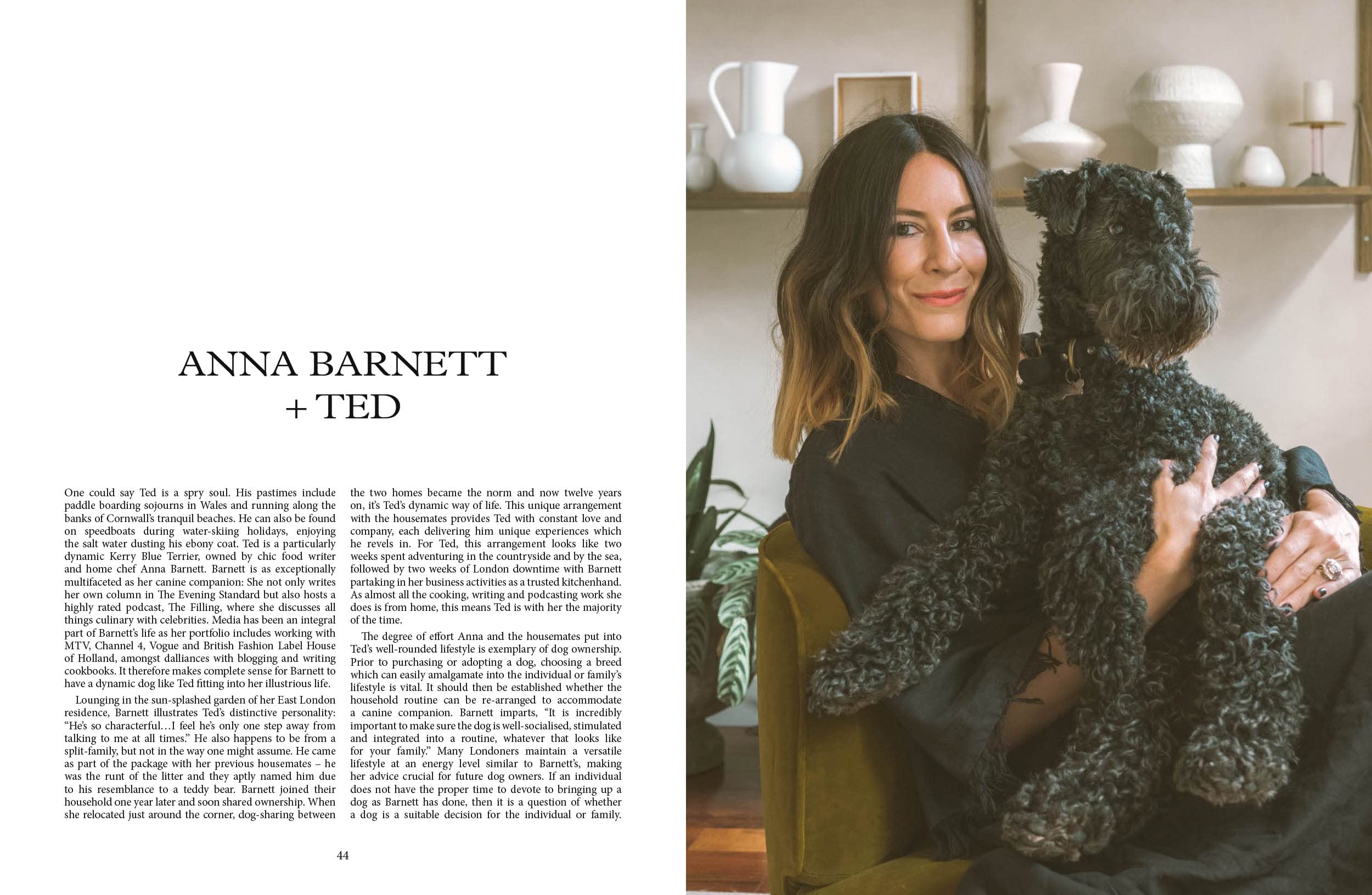 Dog - Stories of Dog Ownership