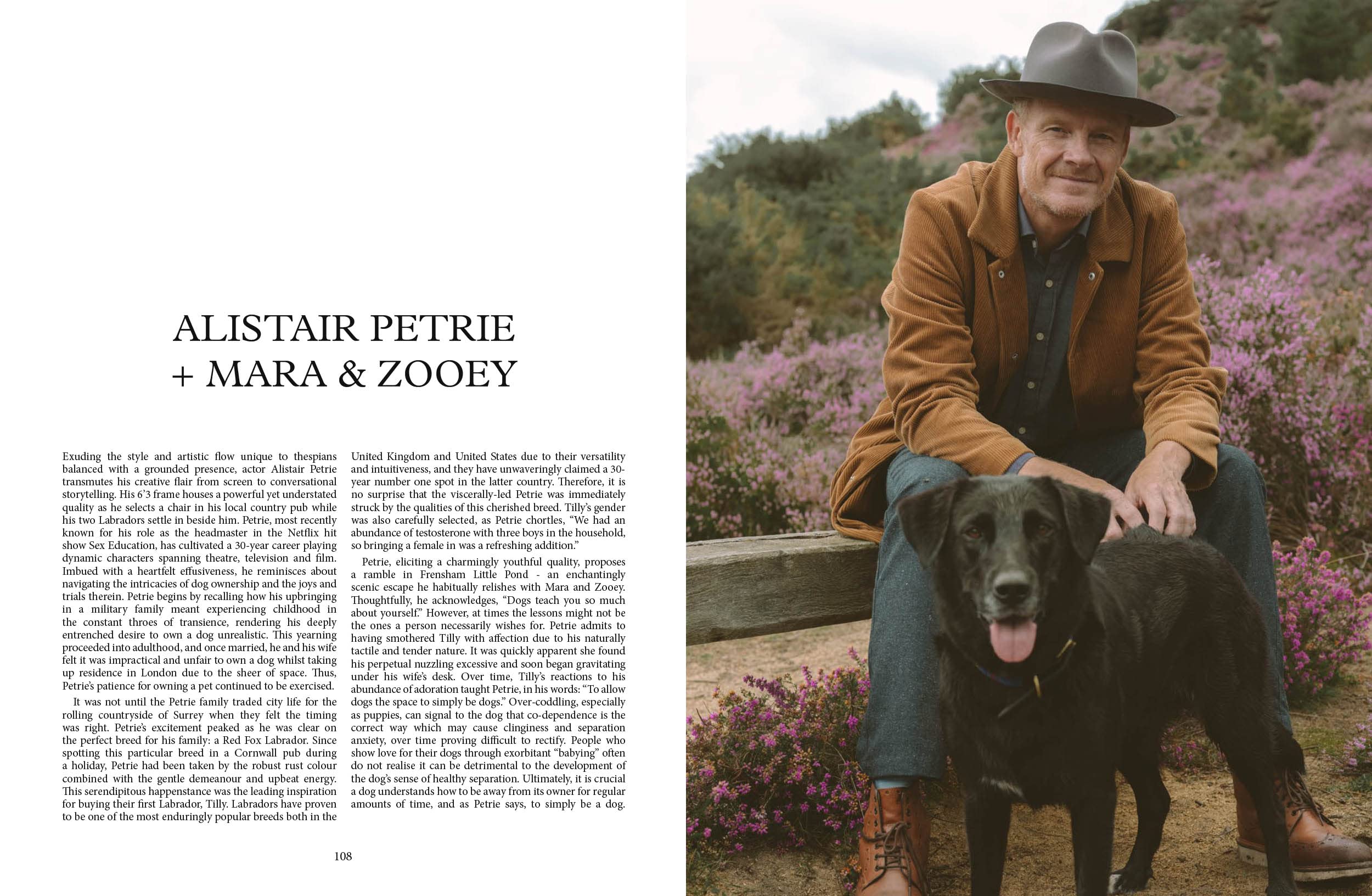 Dog - Stories of Dog Ownership