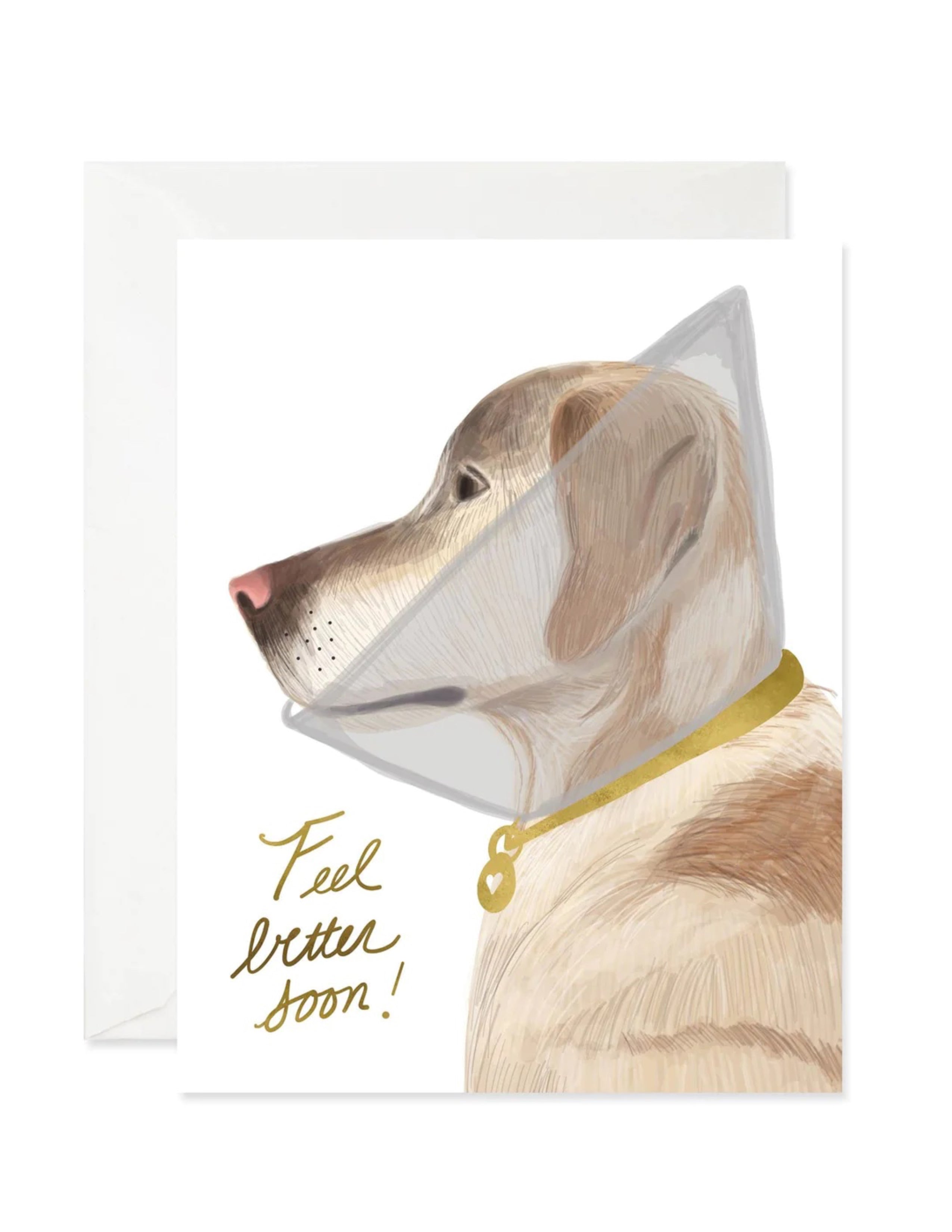 Feel Better Doggie Card