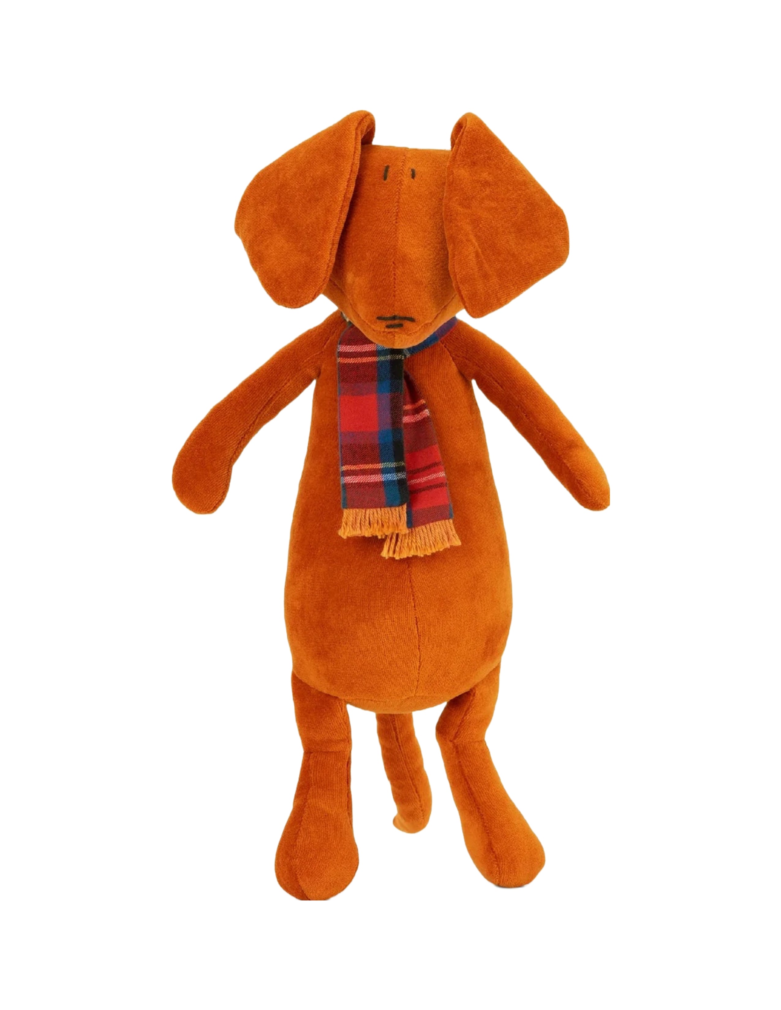 Scott the Dachshund
