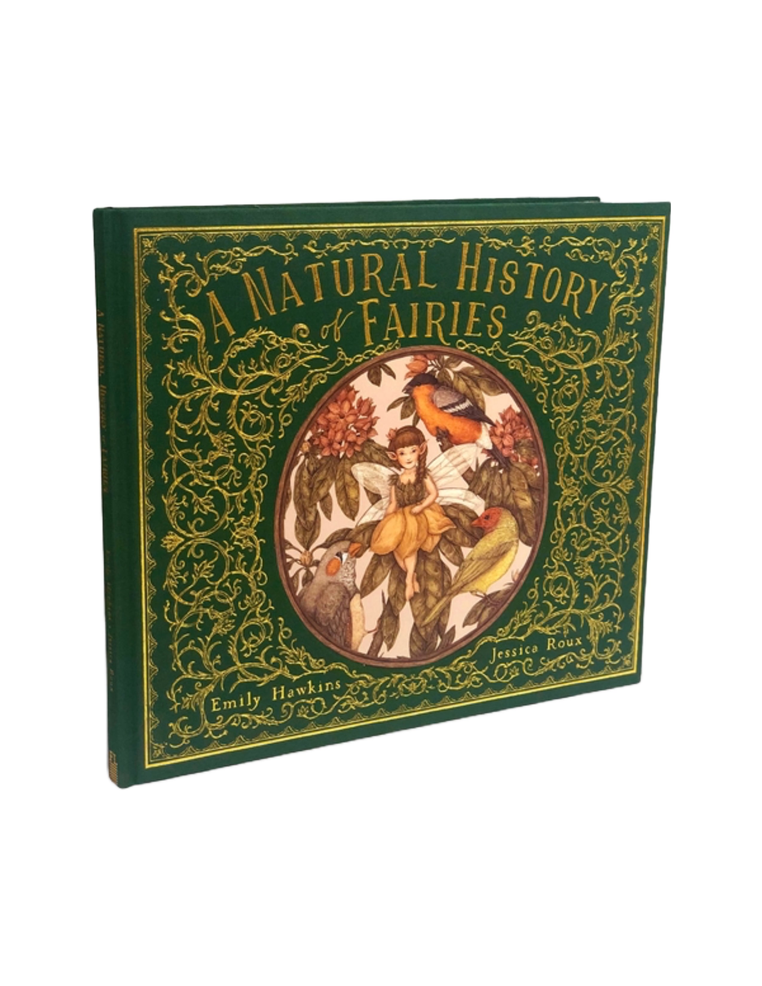A Natural History of Fairies