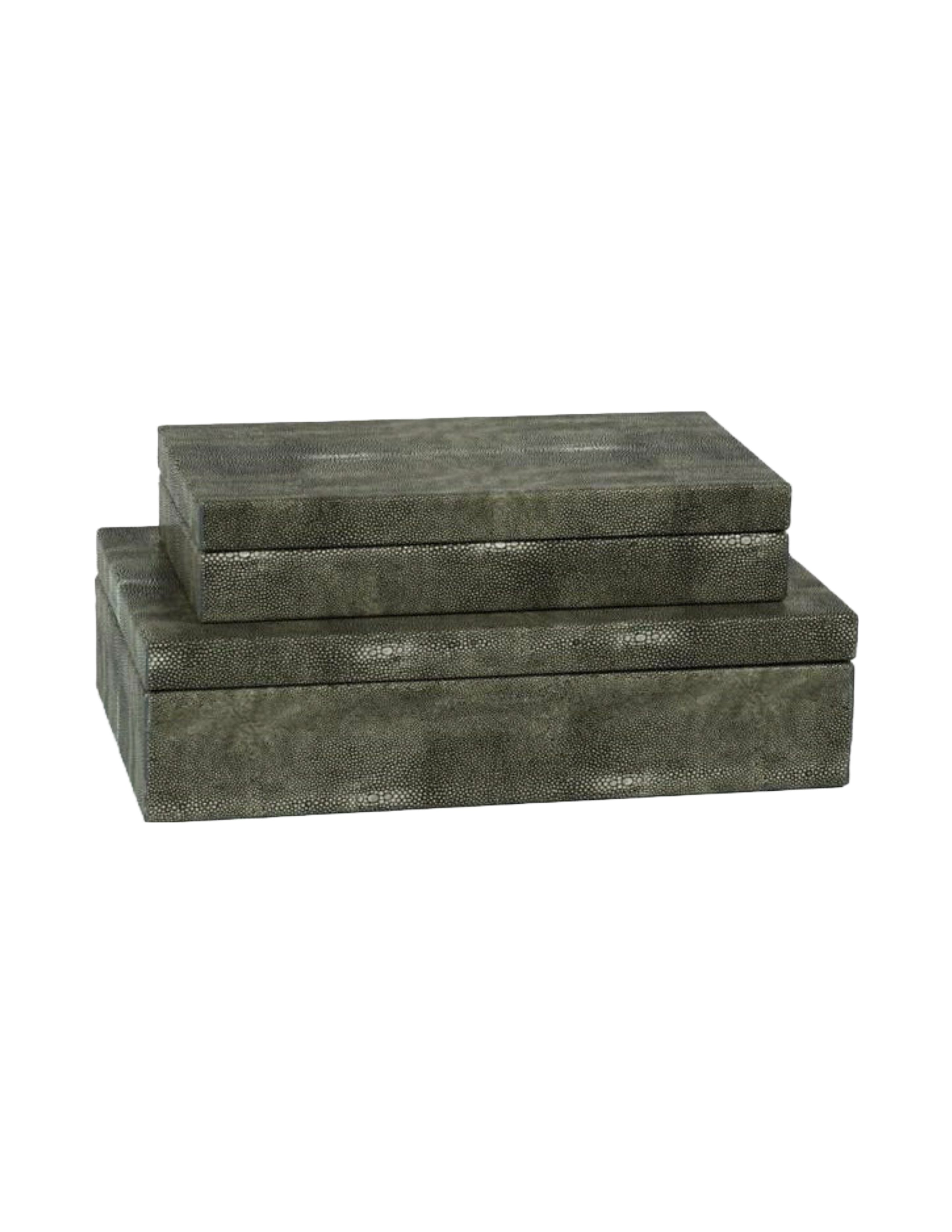 Bora Bora Stingray Leather Box