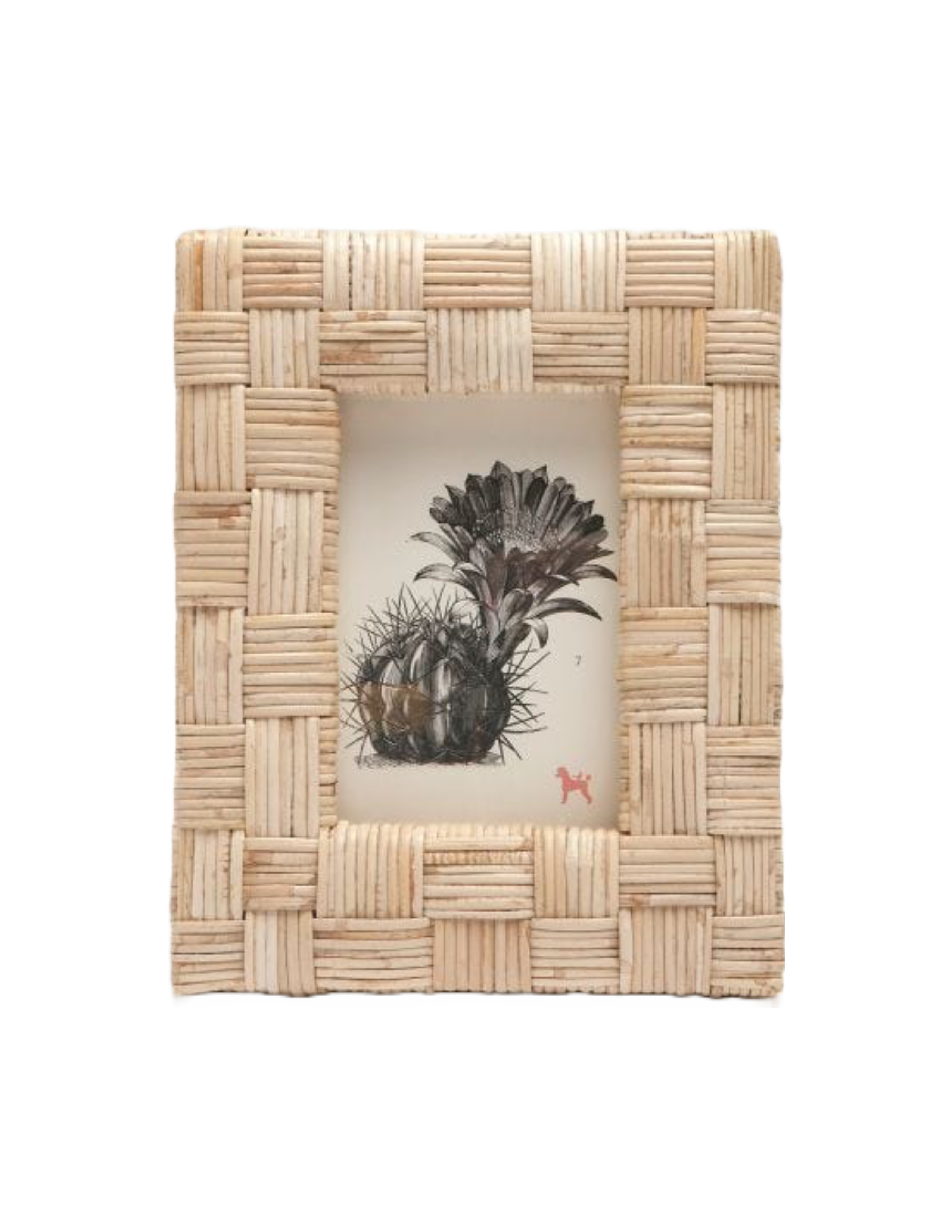Grasse Natural Cane Frame