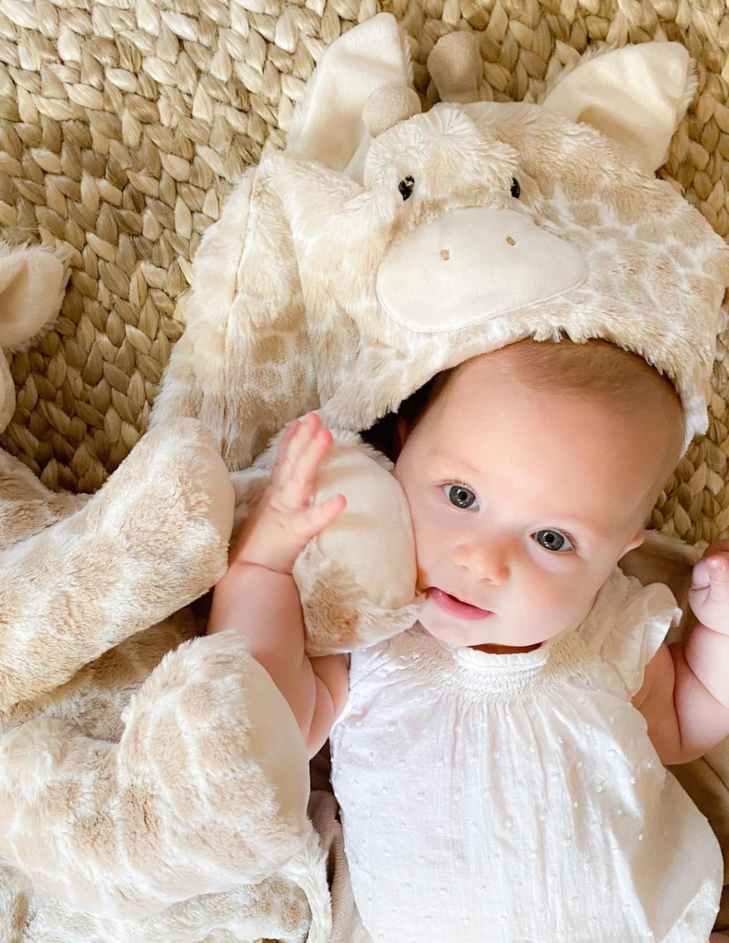 'Gentry' Plush Giraffe Hooded Blanket