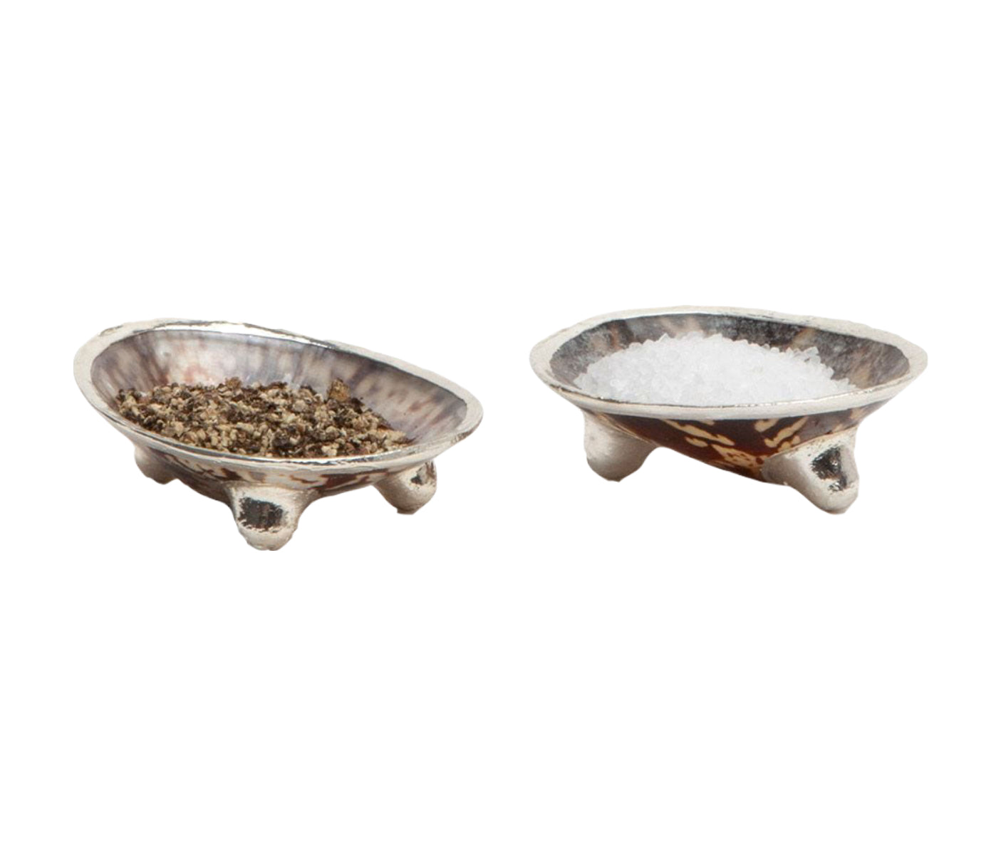 Penelope Limpet Shell Salt/Pepper