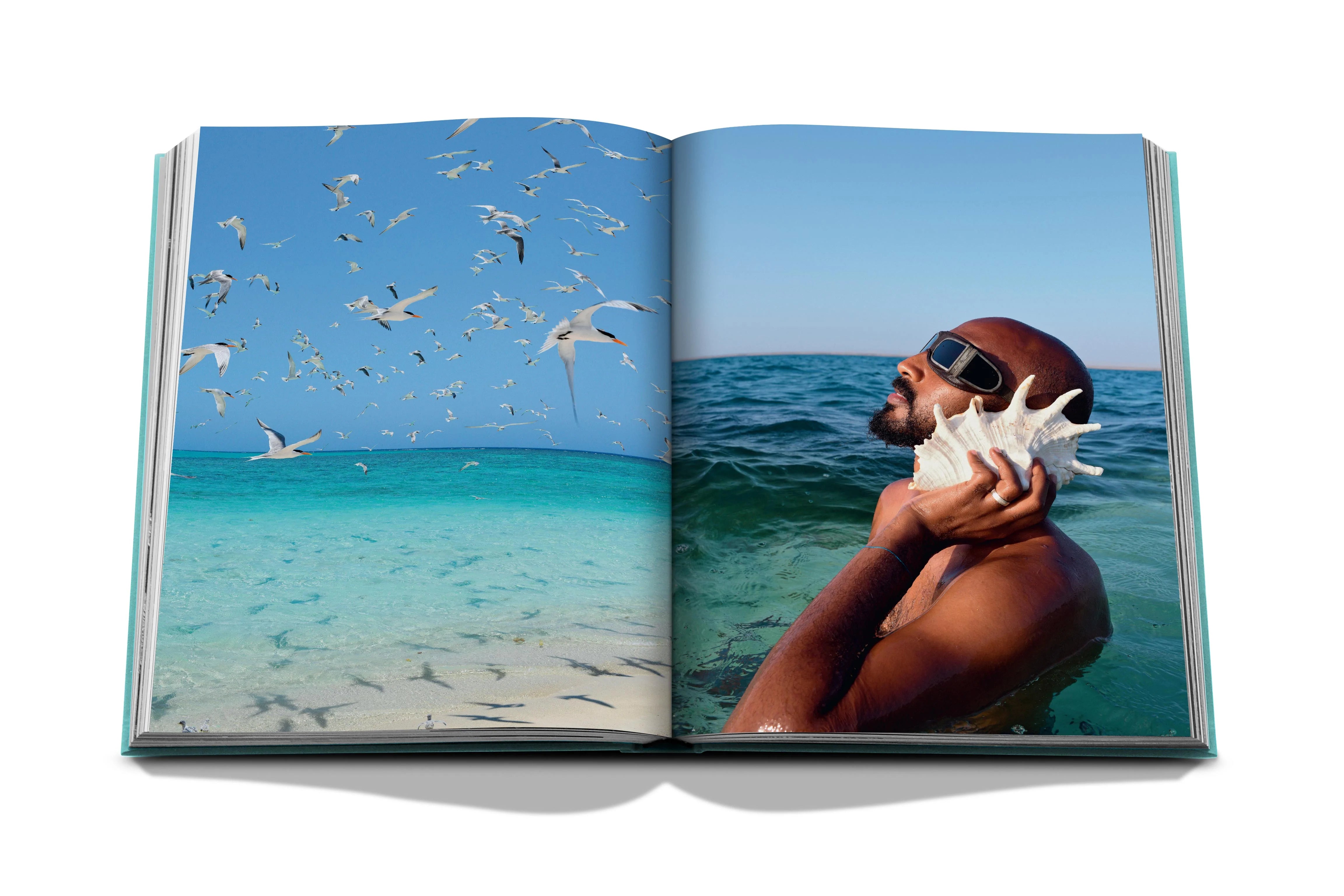 Red Sea The Saudi Coast