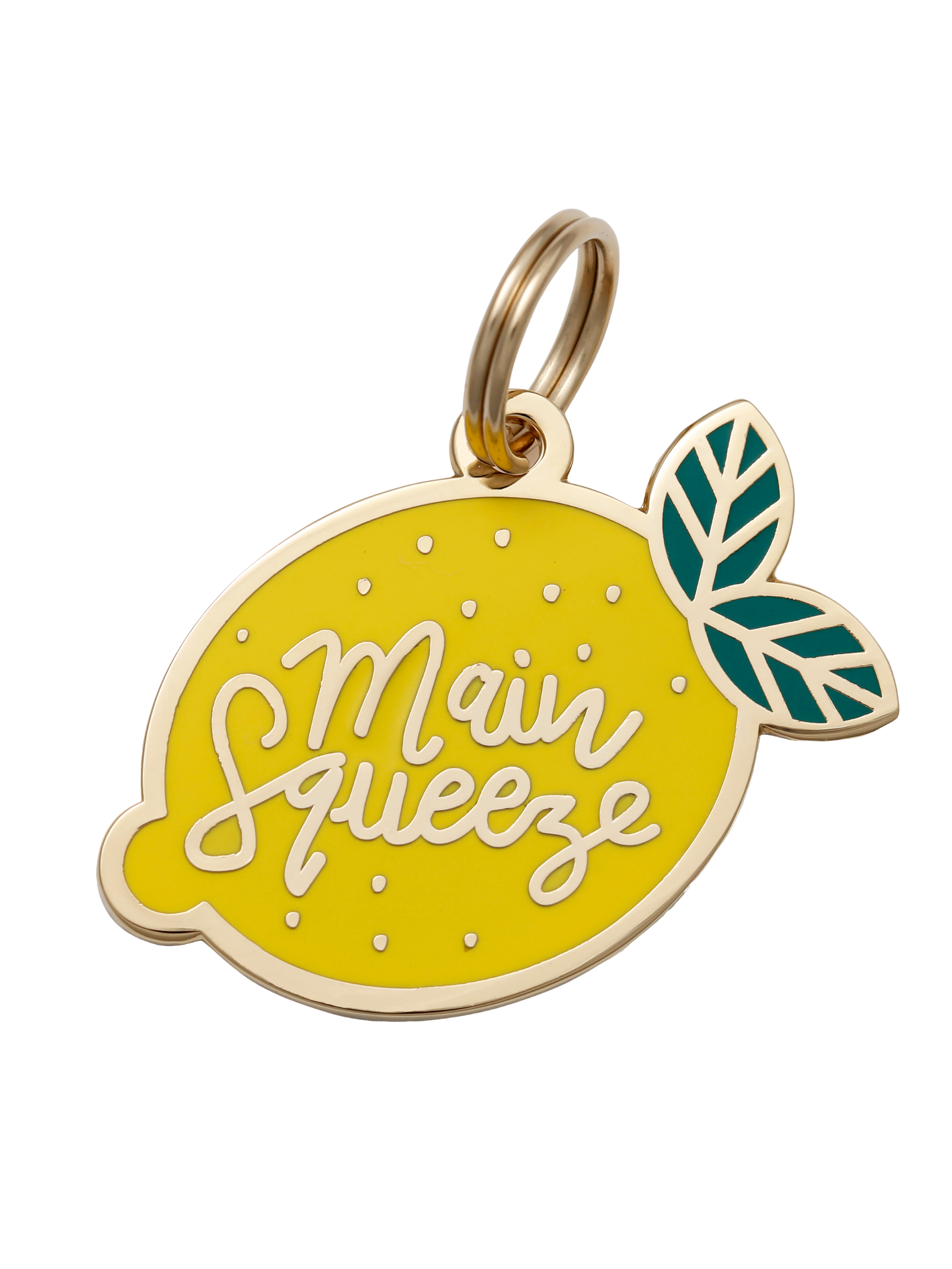Pet ID Tag - Main Squeeze