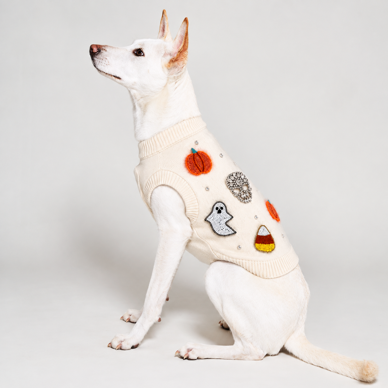 Bead Icon Ghost Sweater