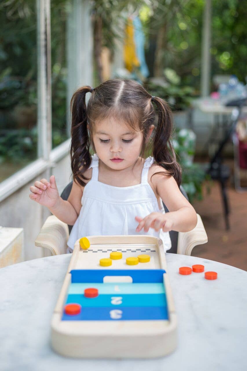 2-in-1 Shuffleboard Game