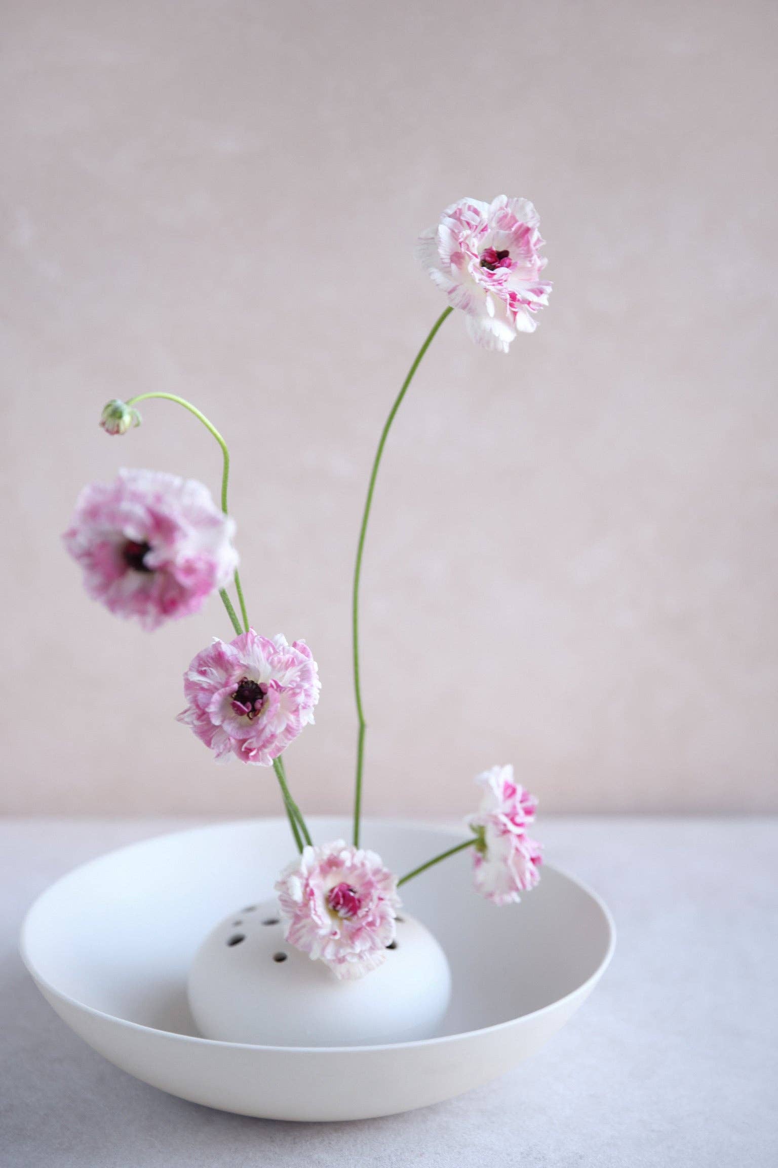The Floral Society - Flower Frog Bowl Vase