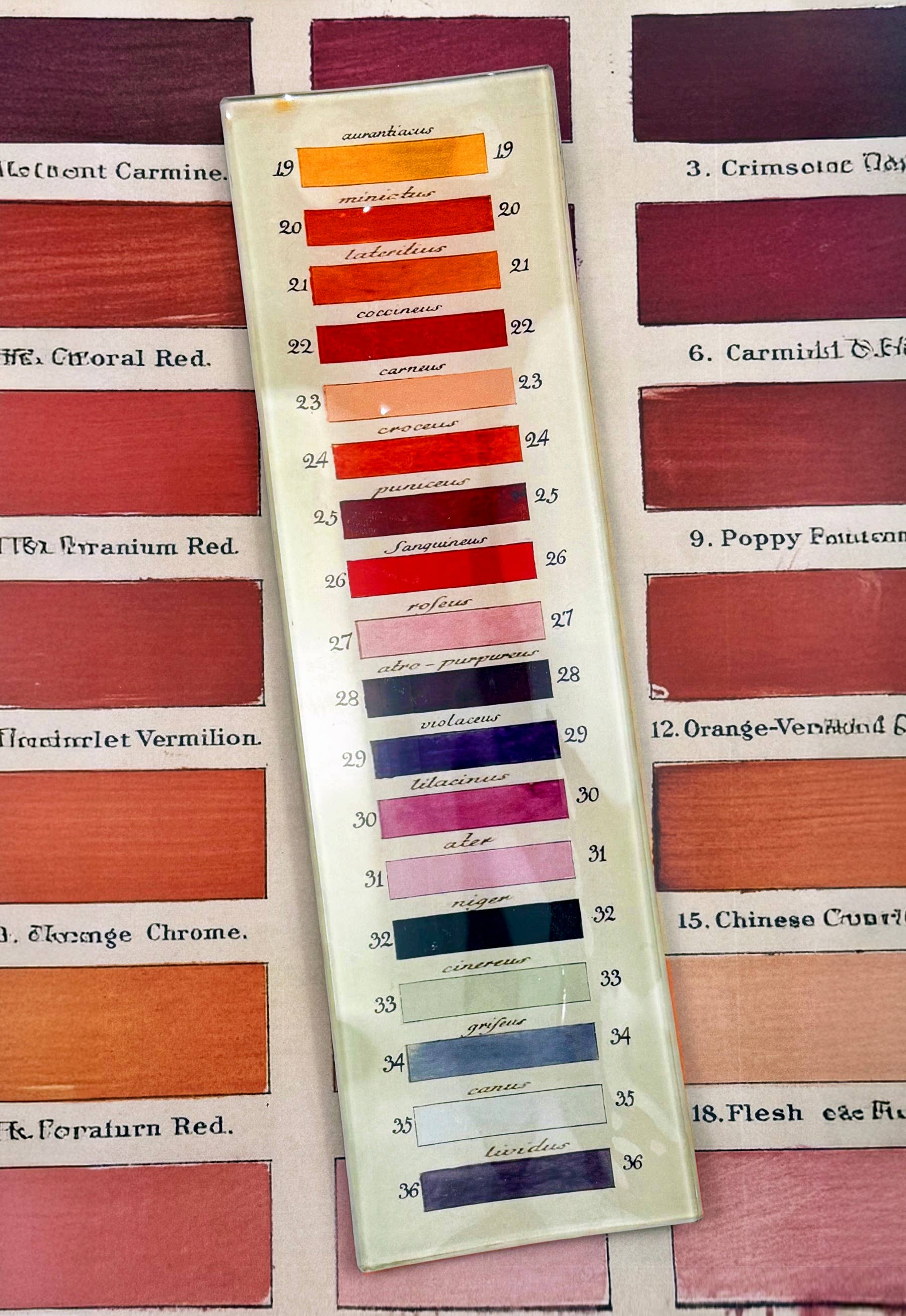 18-Paint Palette Decoupage Glass Tray