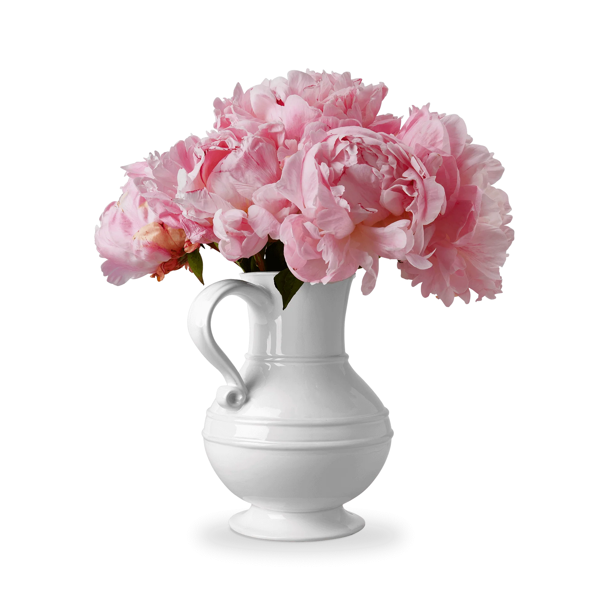 1508 Pitcher