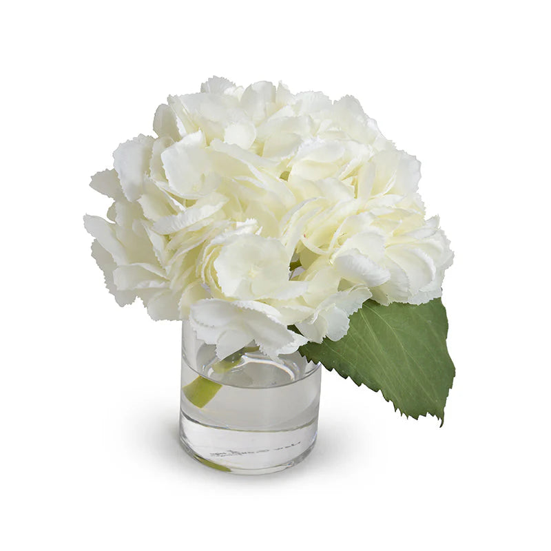 Hydrangea Cutting