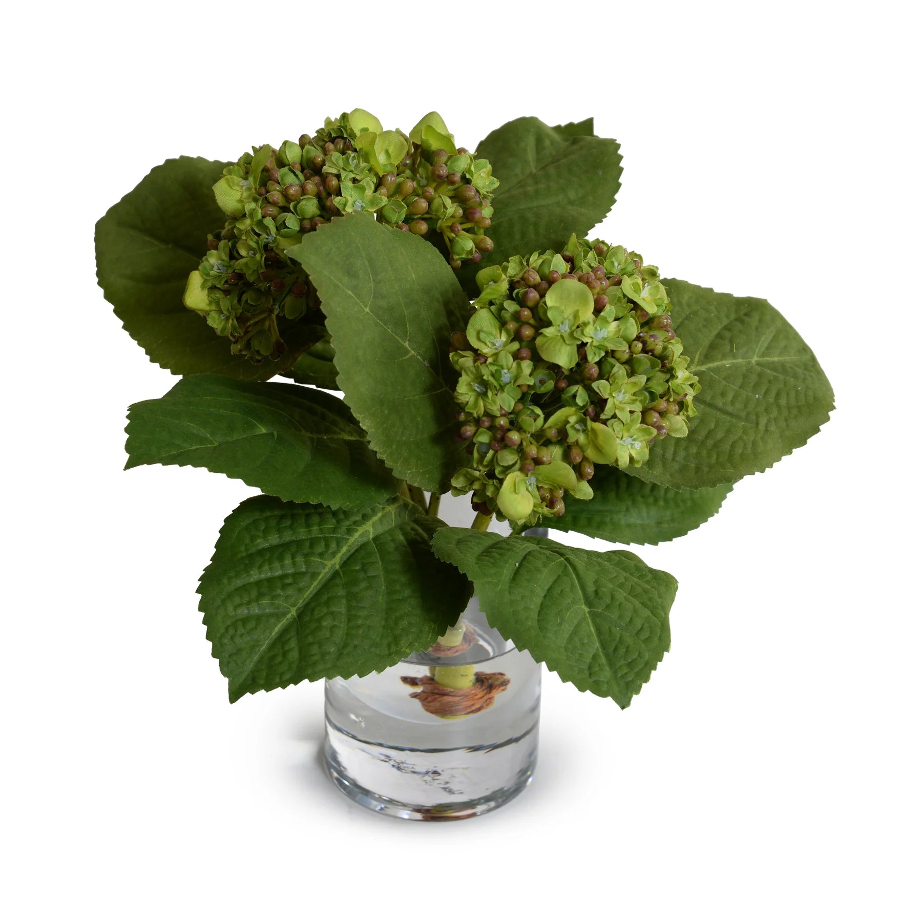 Hydrangea Bud Arrangement