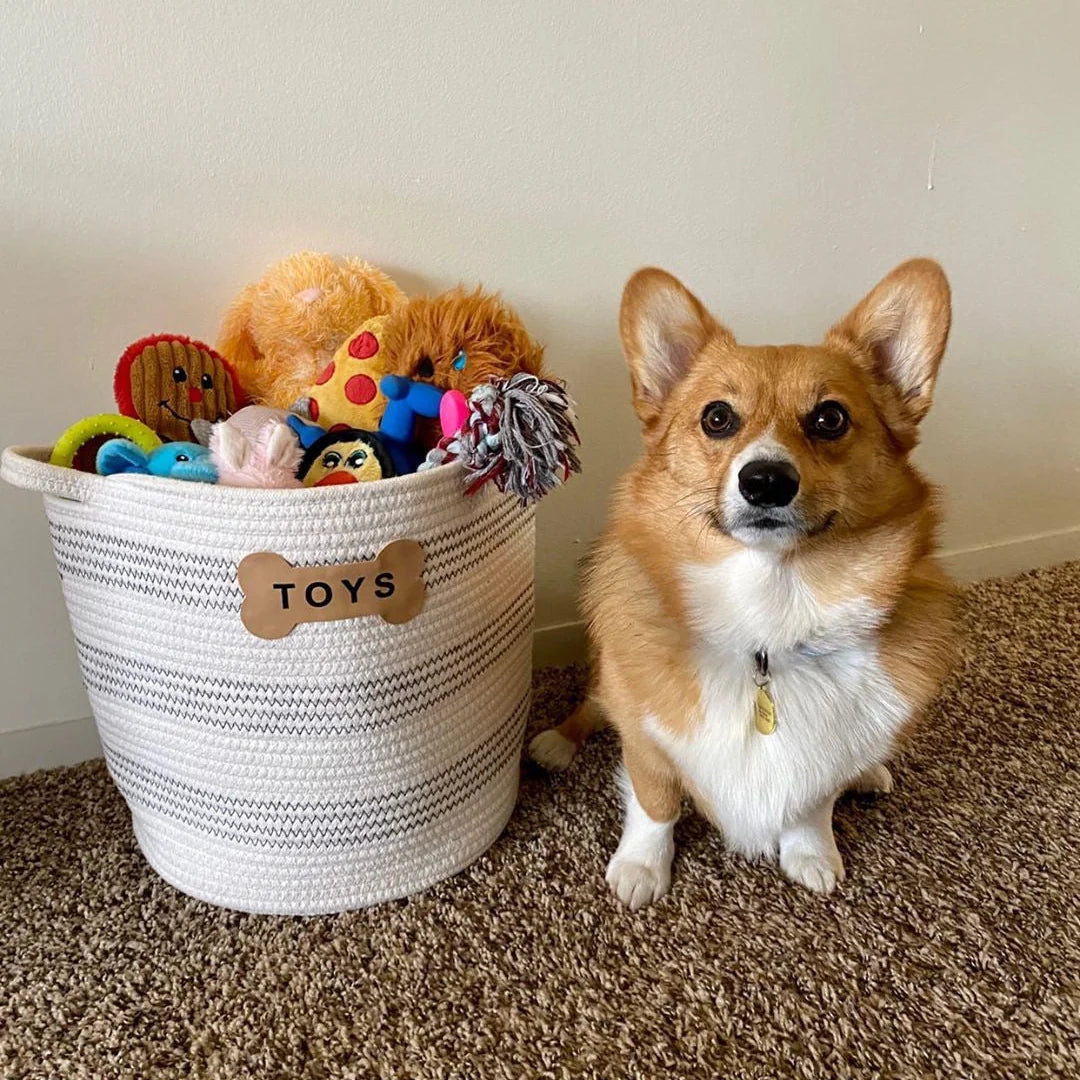 Florence Toy Basket
