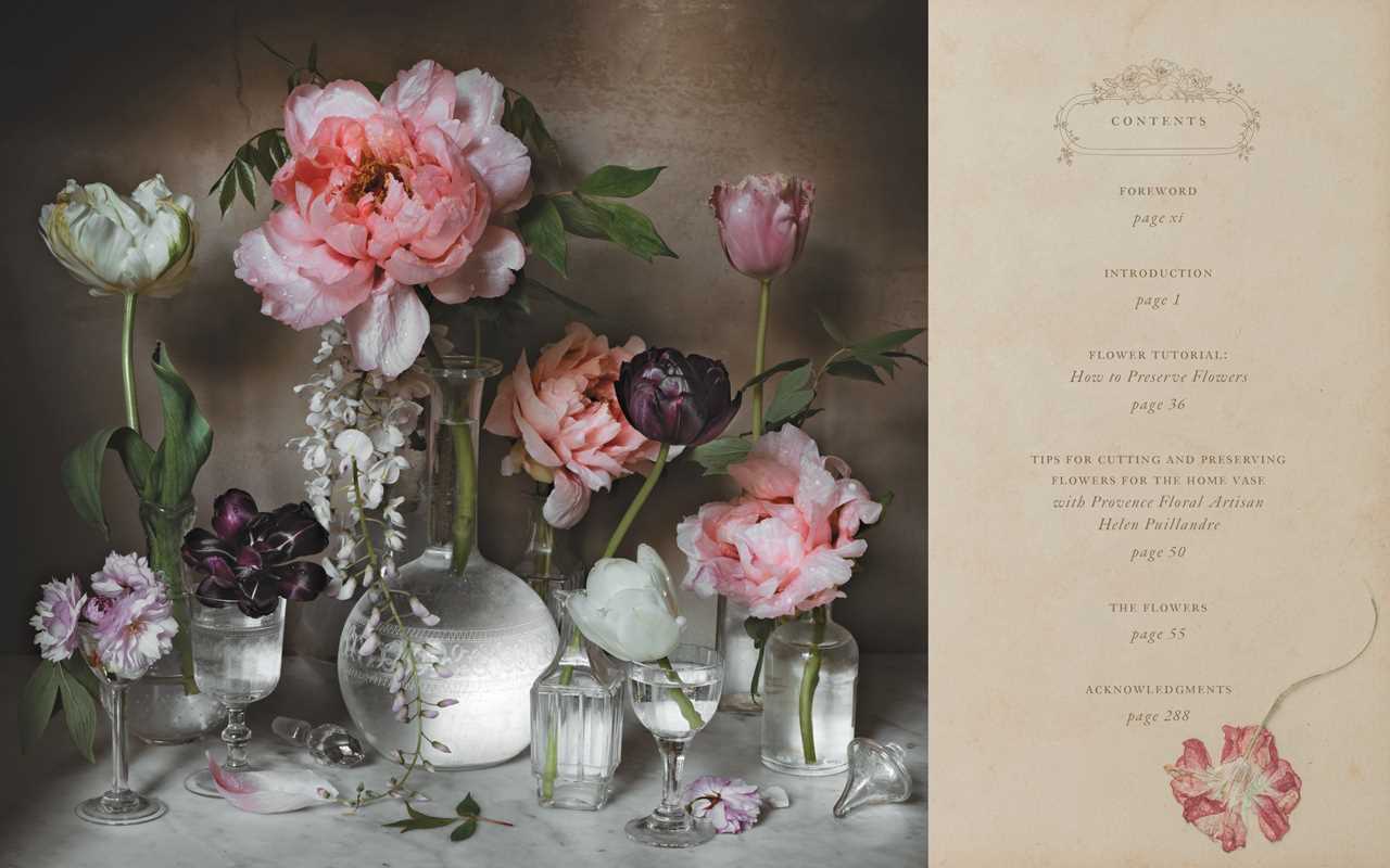 Simon & Schuster - Flowers of Provence by Jamie Beck: Hardcover; 304 pages / English