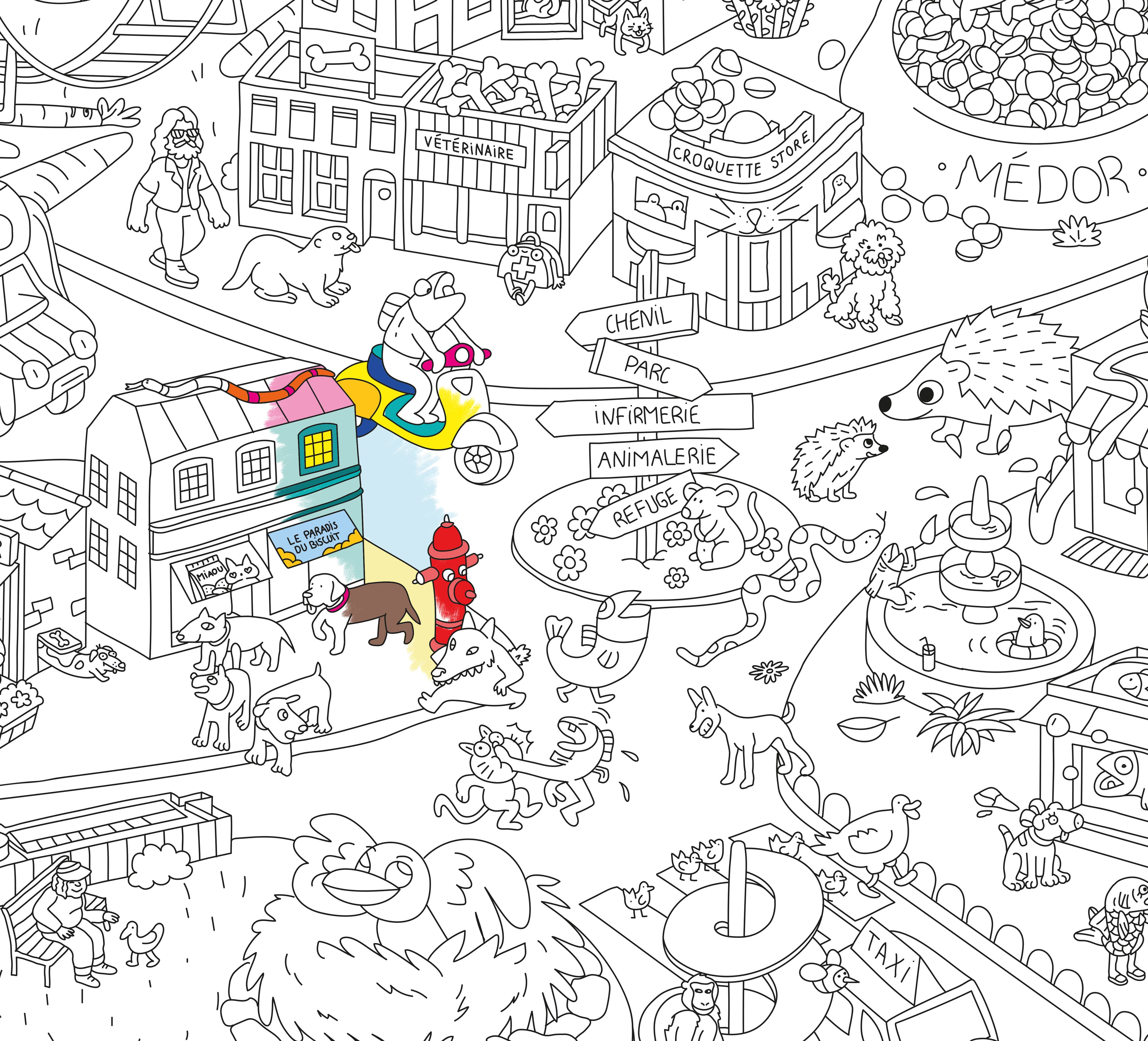 Giant Coloring Poster - Animal Life